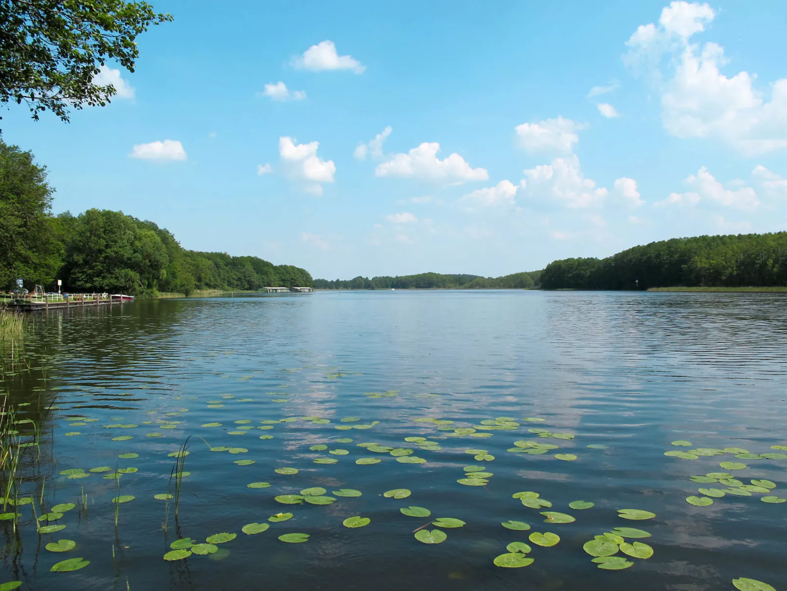 Landhaus Mueritzsee-Omgeving