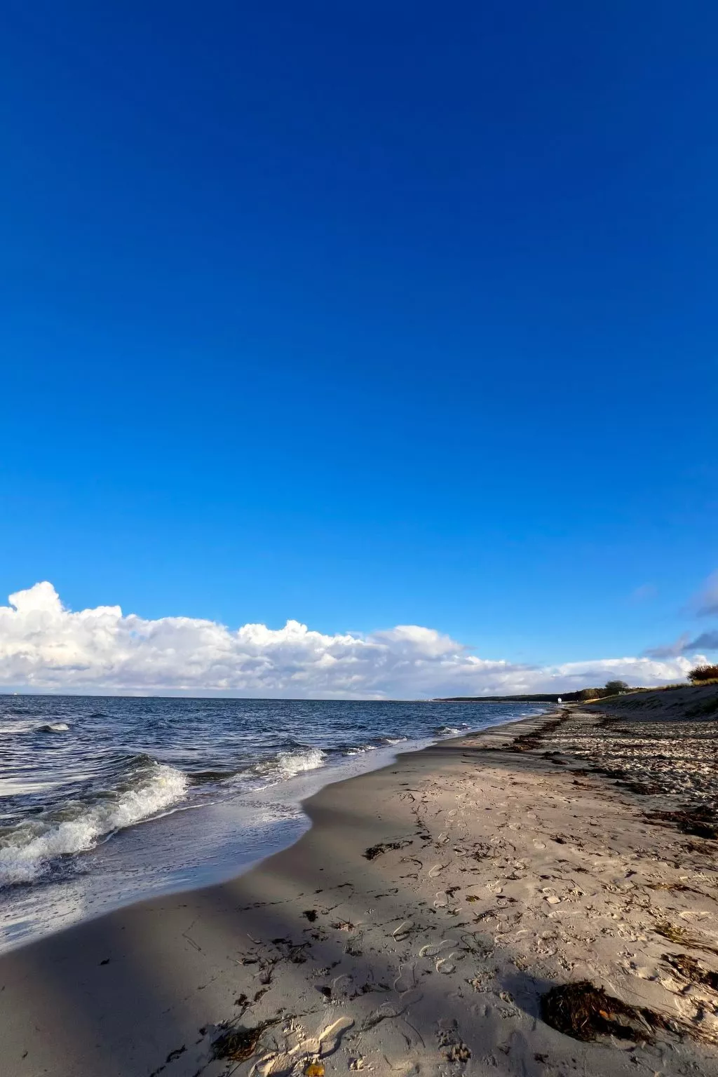 Stormy im Nauticum-Buiten