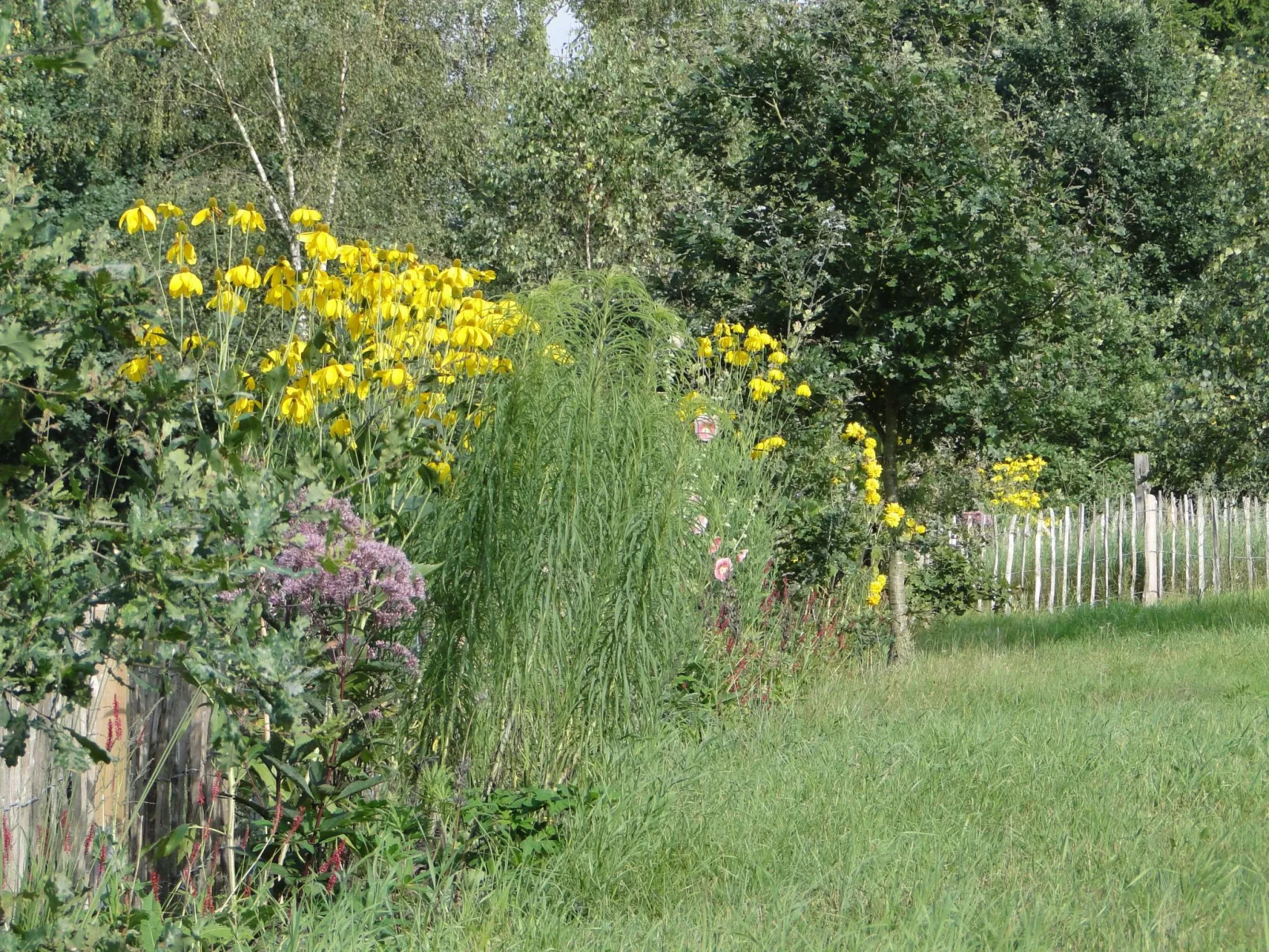 Haus Hartriegel im Bispinger Heidezauber-Buiten