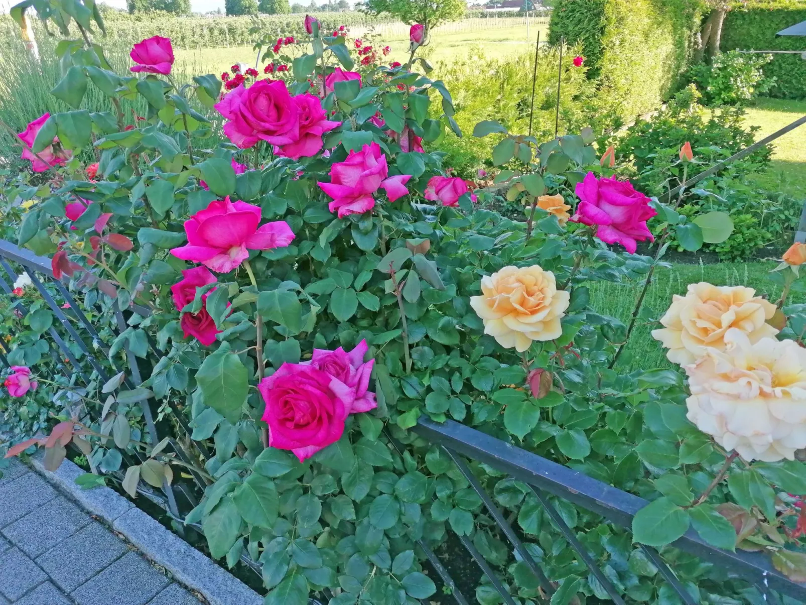 Ferien-Apartment-Buiten