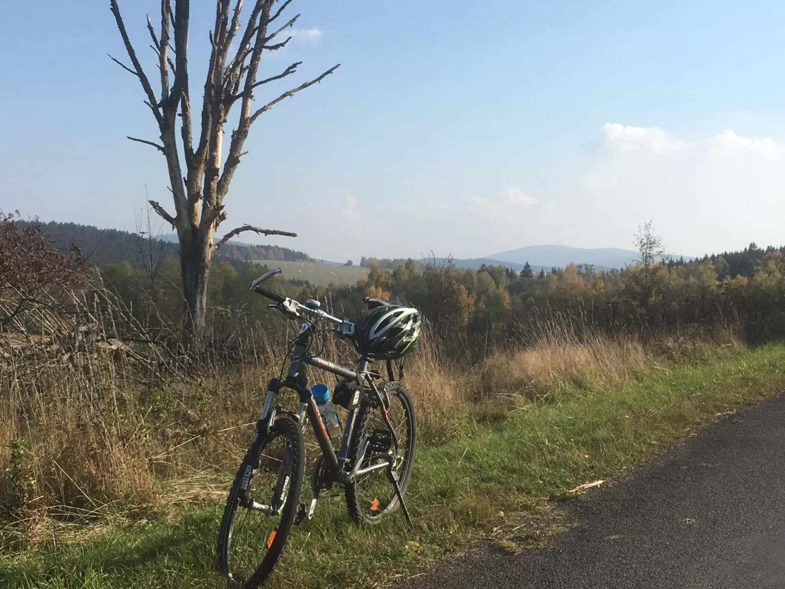 Zillendorf 2-Image-tags.info