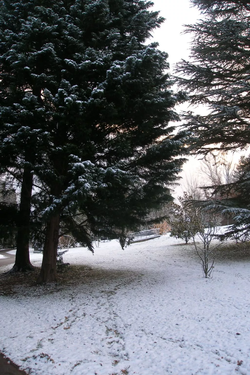 Fewo-ferber, Vogesen-Buiten