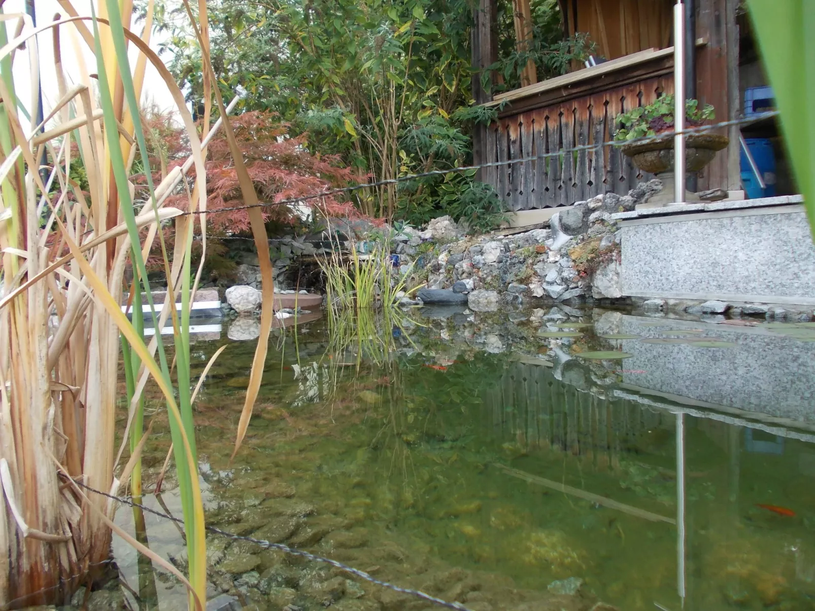 Monterosa in Baden-Baden-Buiten