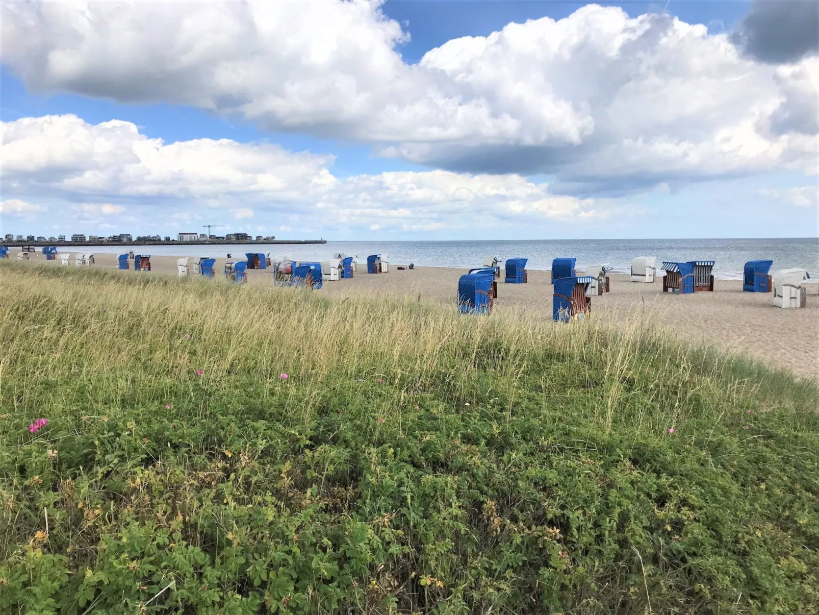 Am Meer-Image-tags.info