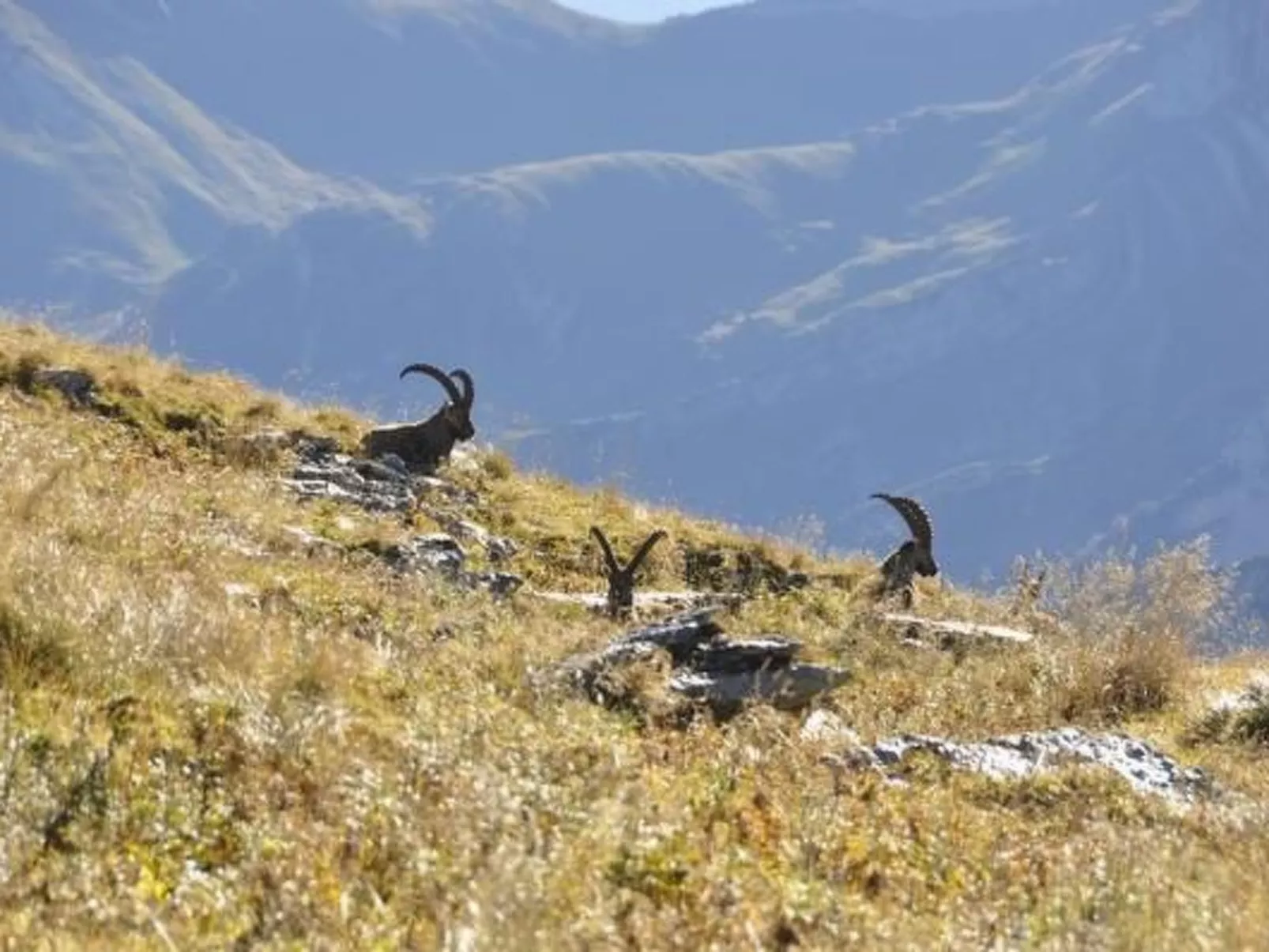 Chäserruggblick-Buiten