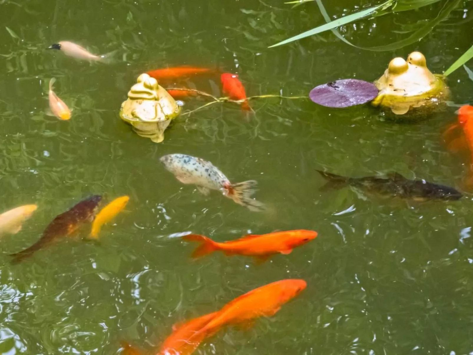 Relax Chalet-Image-tags.info