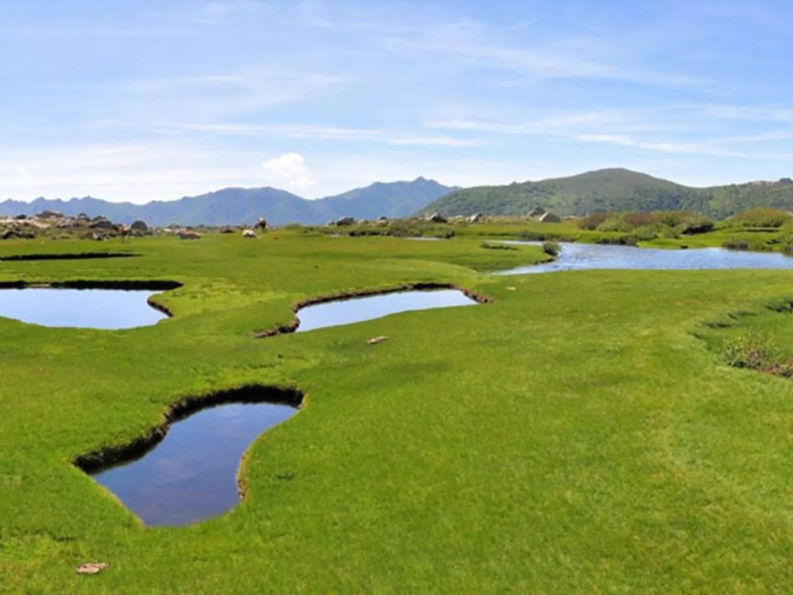 Haus mit Garten, Grill und Terrasse-Buiten