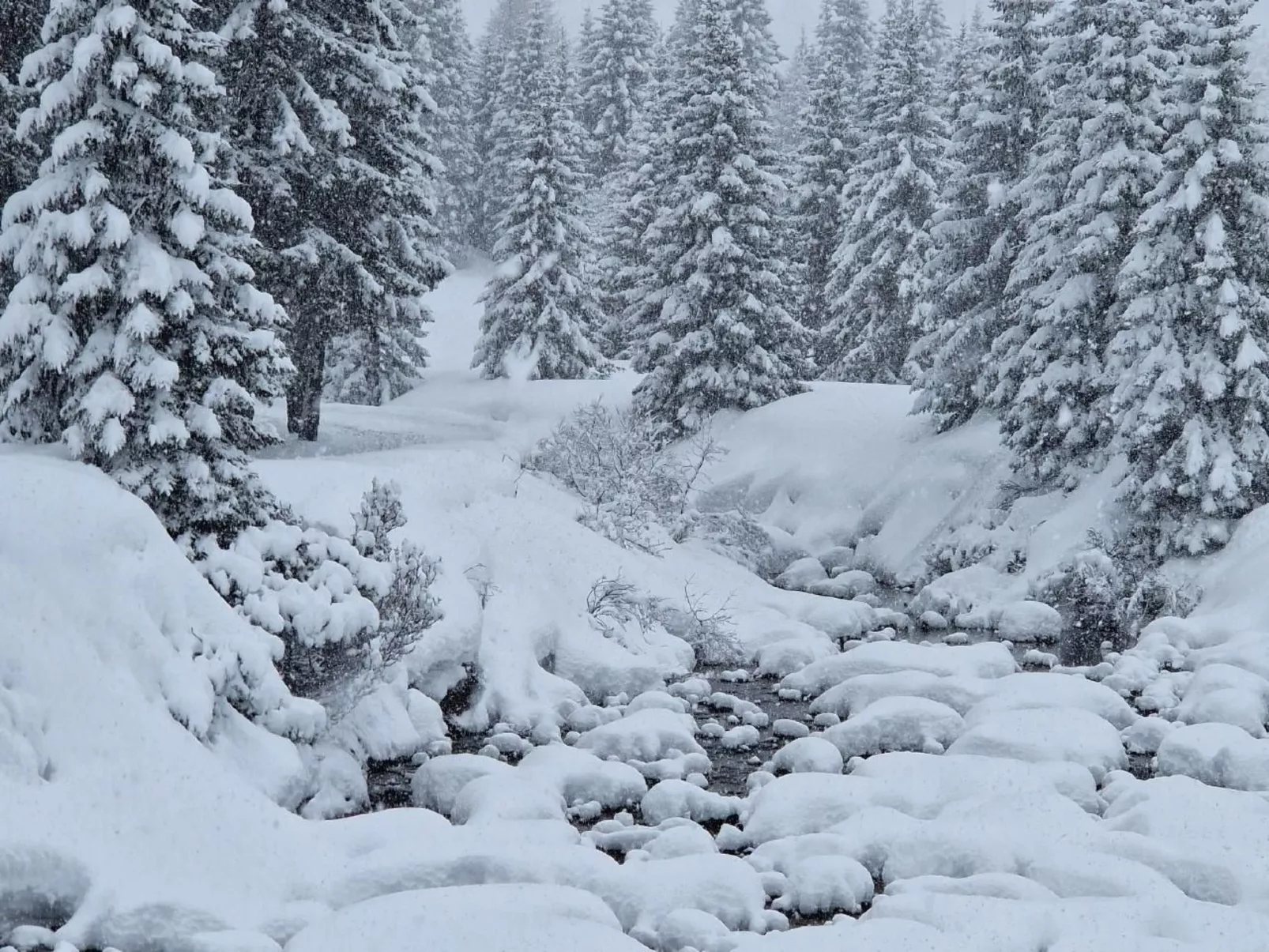 Wohnung Bella vista & Alp'sport-Image-tags.info