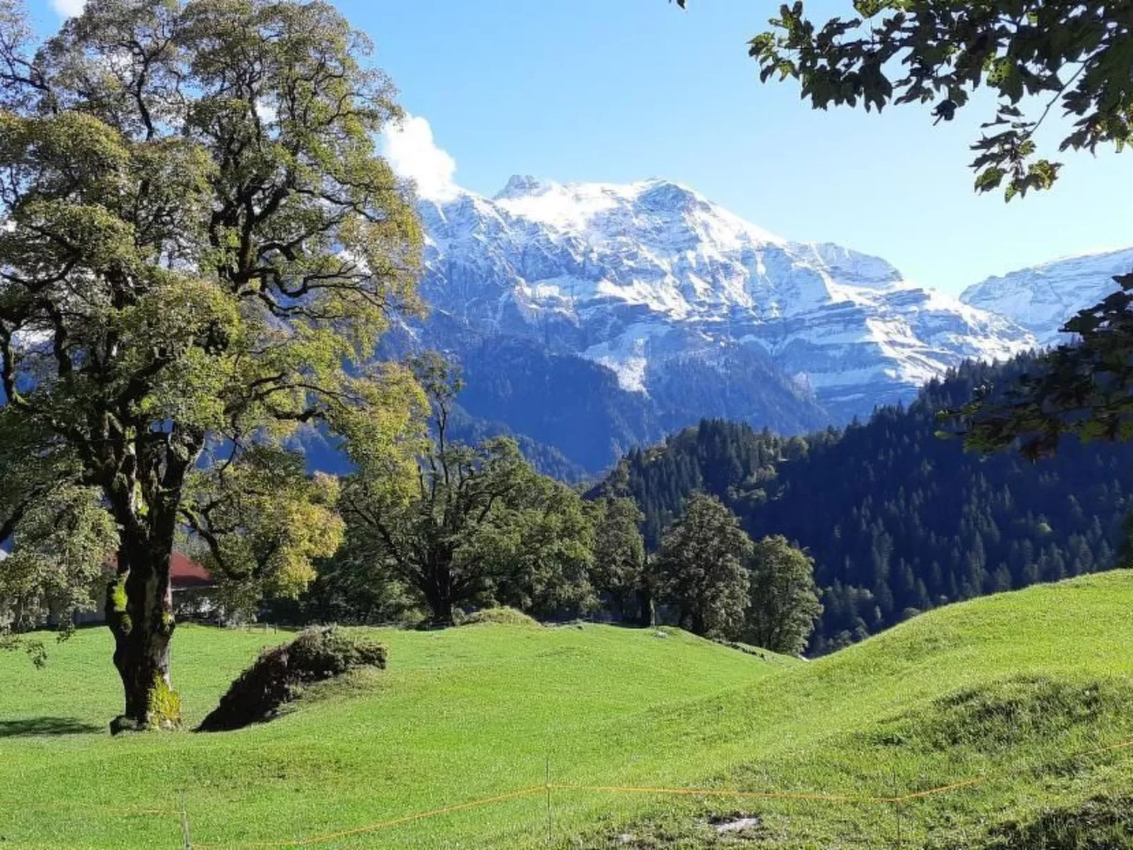 Rietberg 8 Braunwald-Buiten