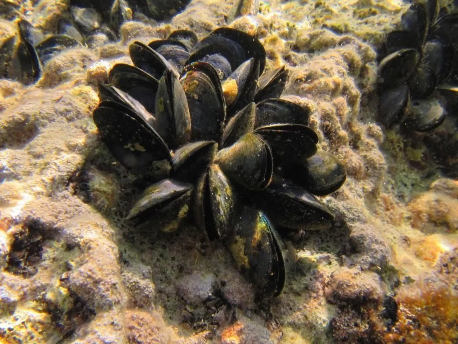 Appartement in Rakalj mit Großem Garten und Panoramablick-Image-tags.info