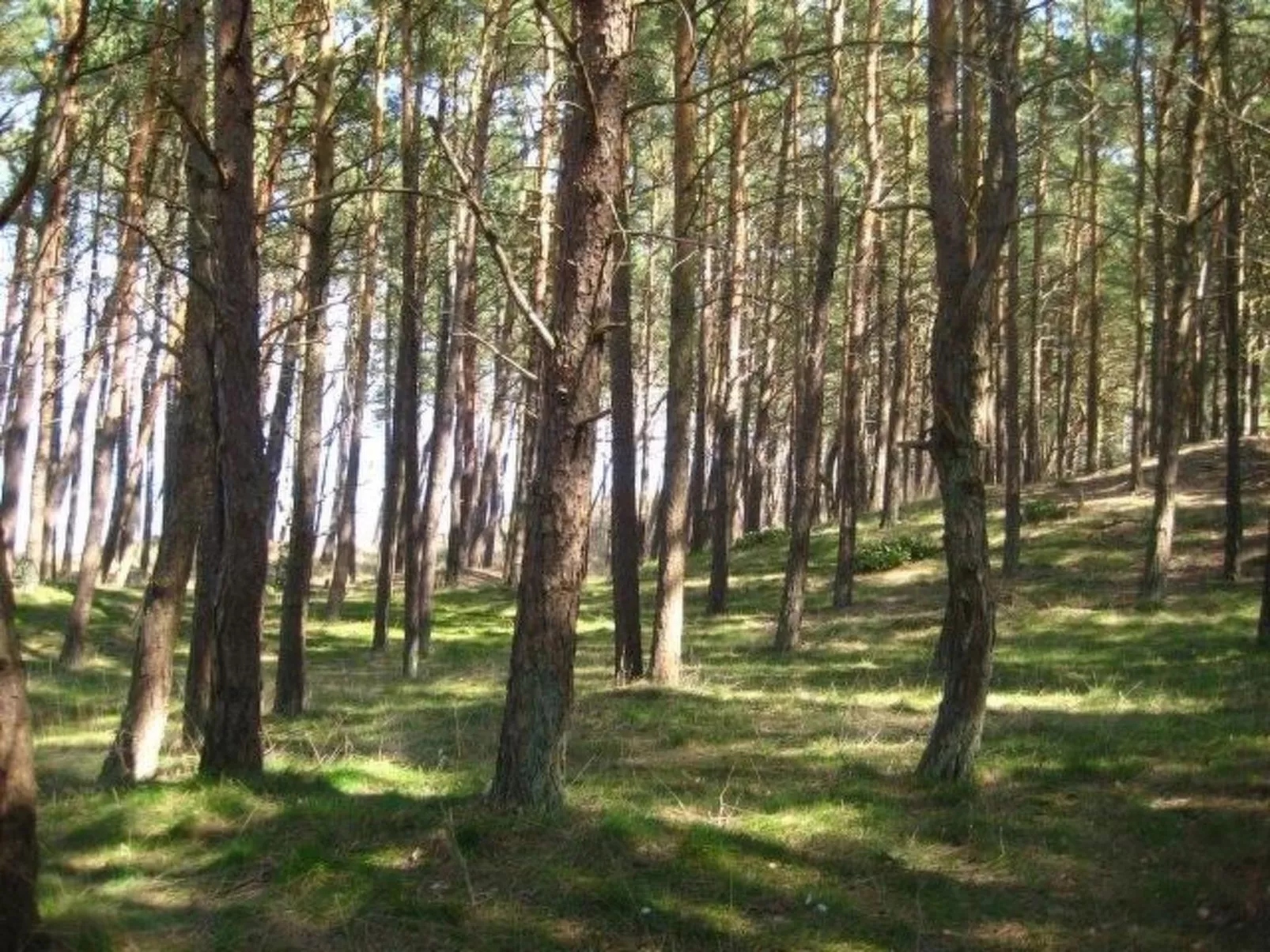 Ganzjährig bewohnbares Ferienhaus direkt am Strand von Dźwirzyno-Buiten