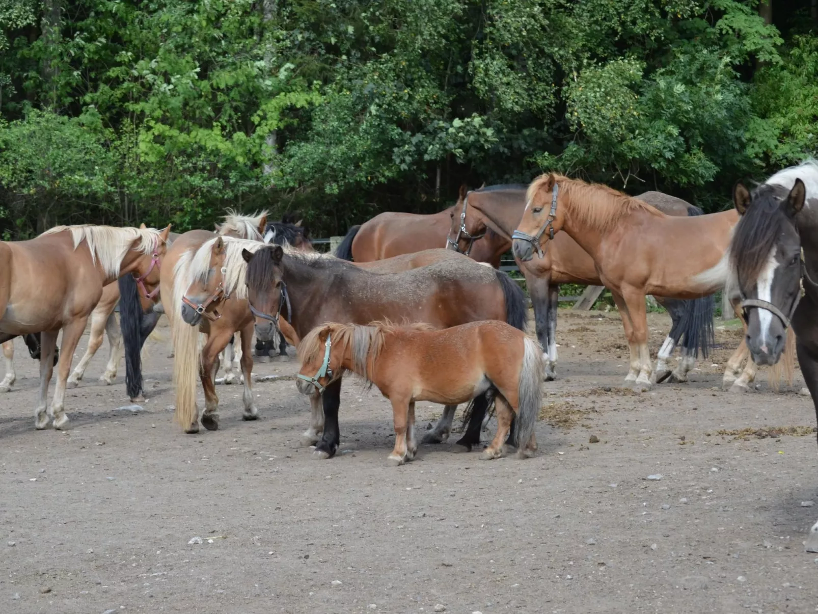 Großzügiges Ferienstudio für zwei Personen-Image-tags.info
