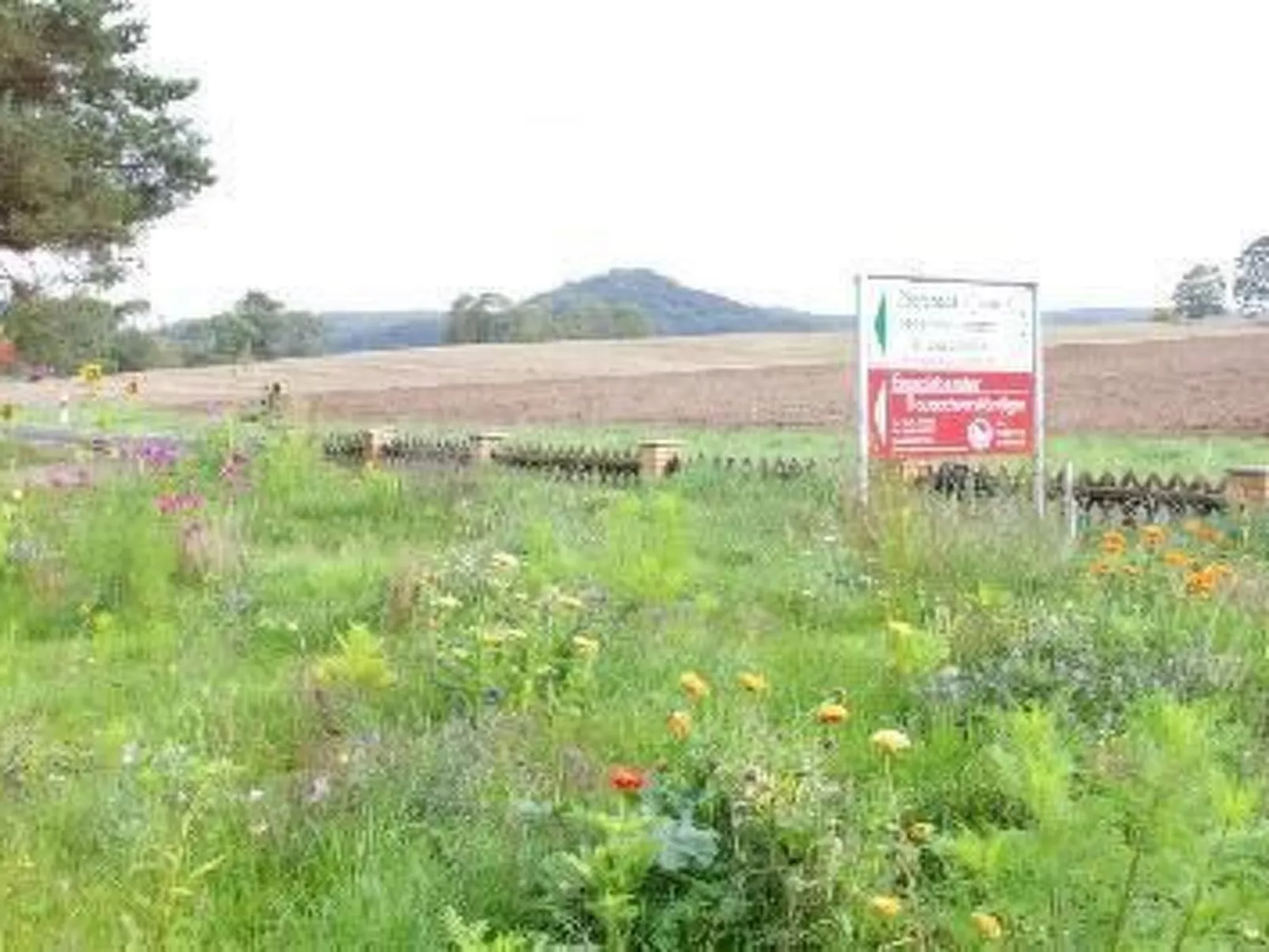 Gästehaus Kühne-Buiten