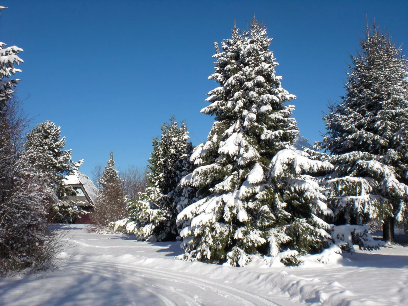Haus Robinson - Buiten