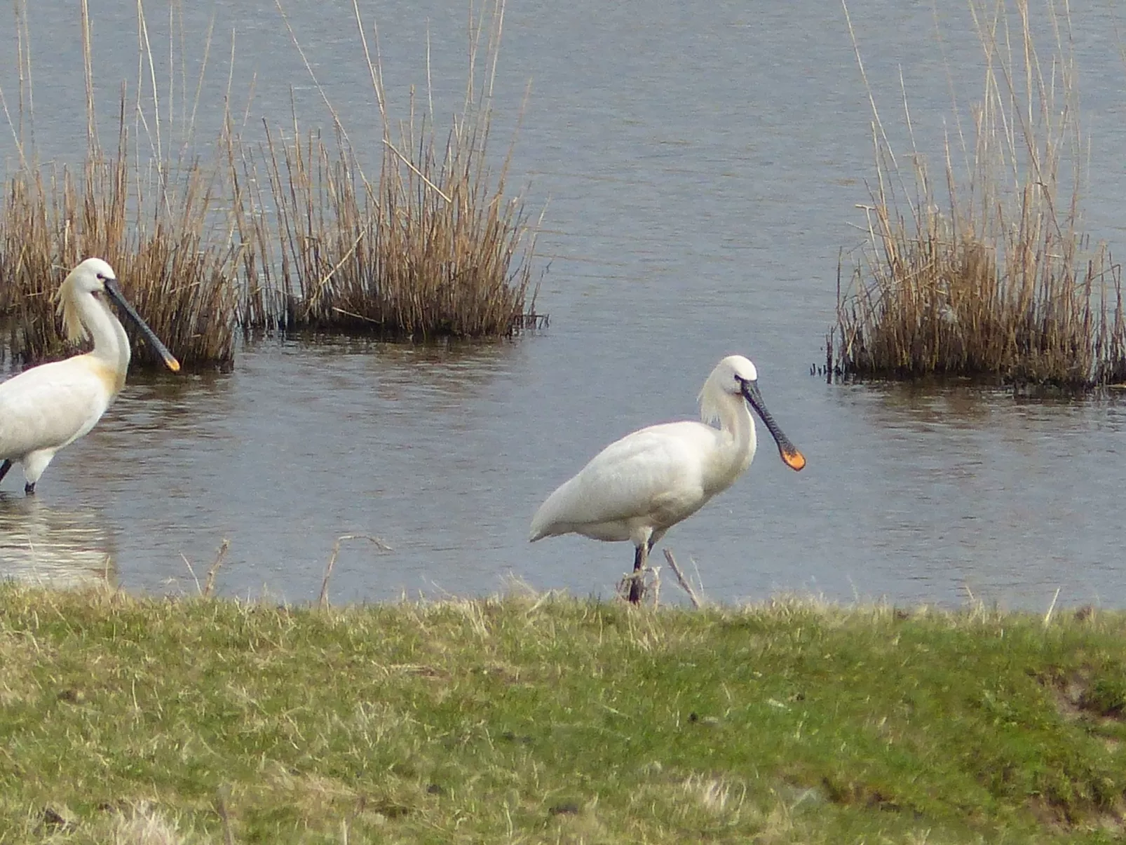 Gemütliche Ferienwohnung mit separatem Garten-Image-tags.info