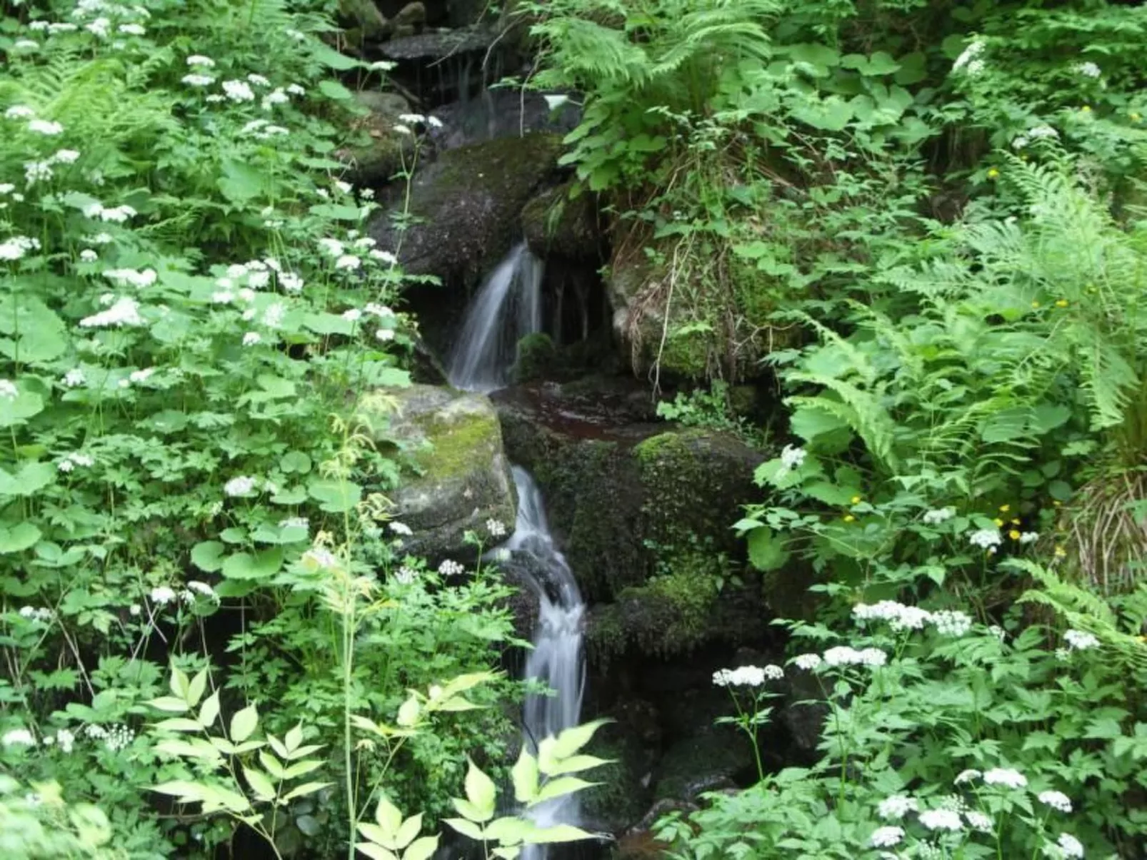 Quellenhof Kollnburg-Buiten