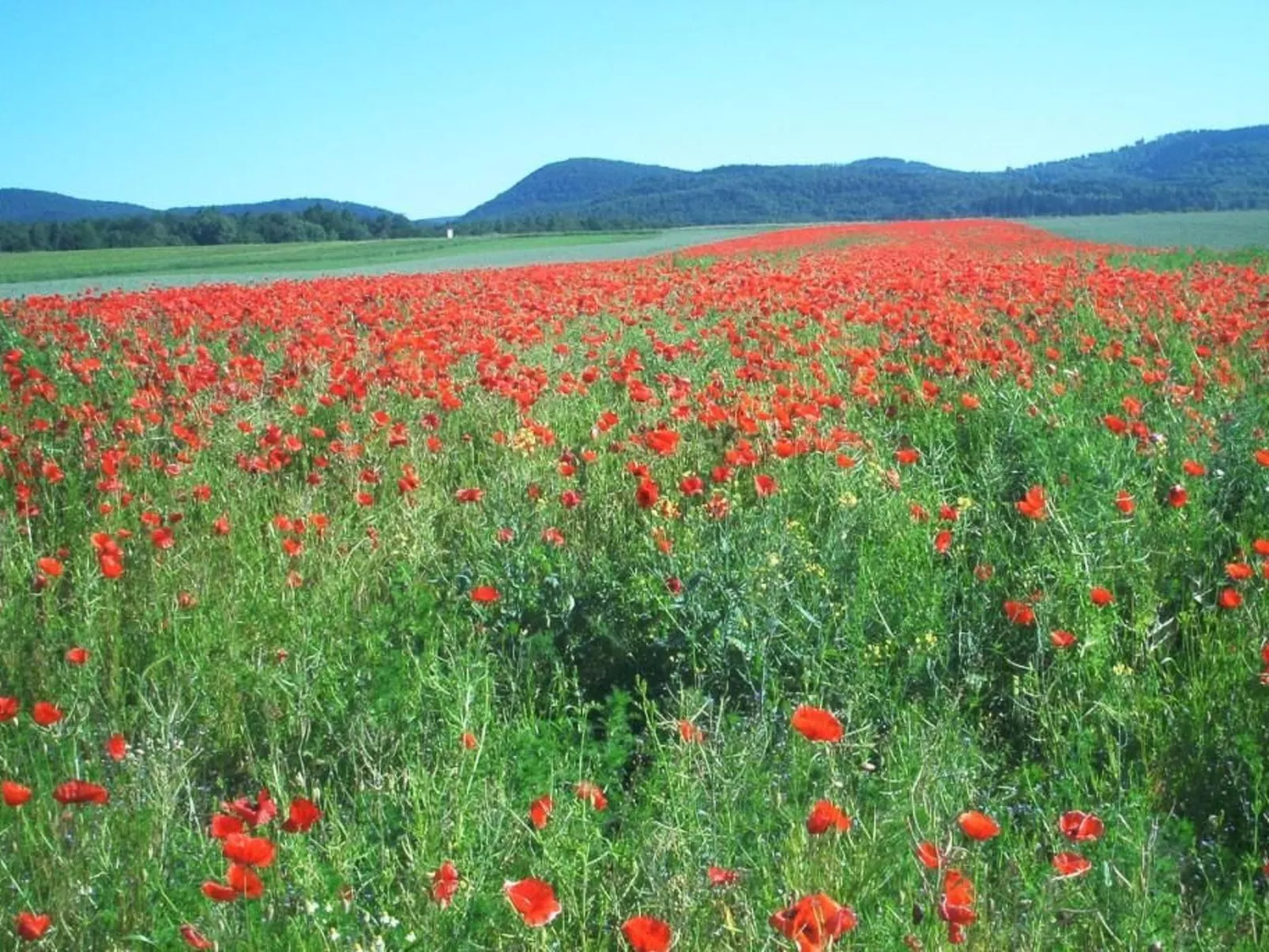 Fewo Stricker 13-Buiten