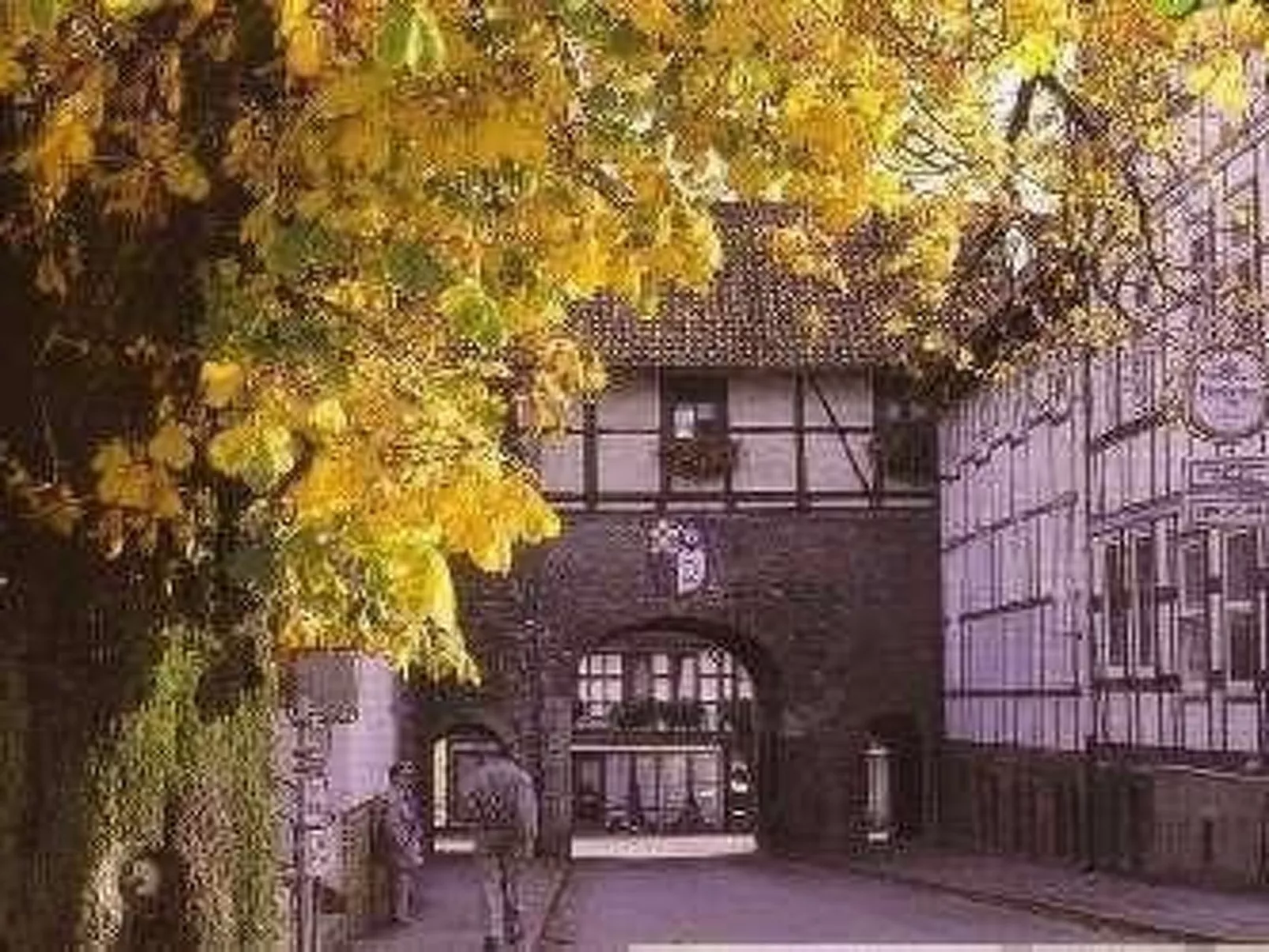 Fewo Stricker 23-Buiten