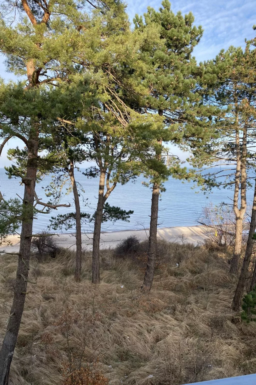 Schönes Ferienhaus für 7 Personen und 1 Kind-Buiten