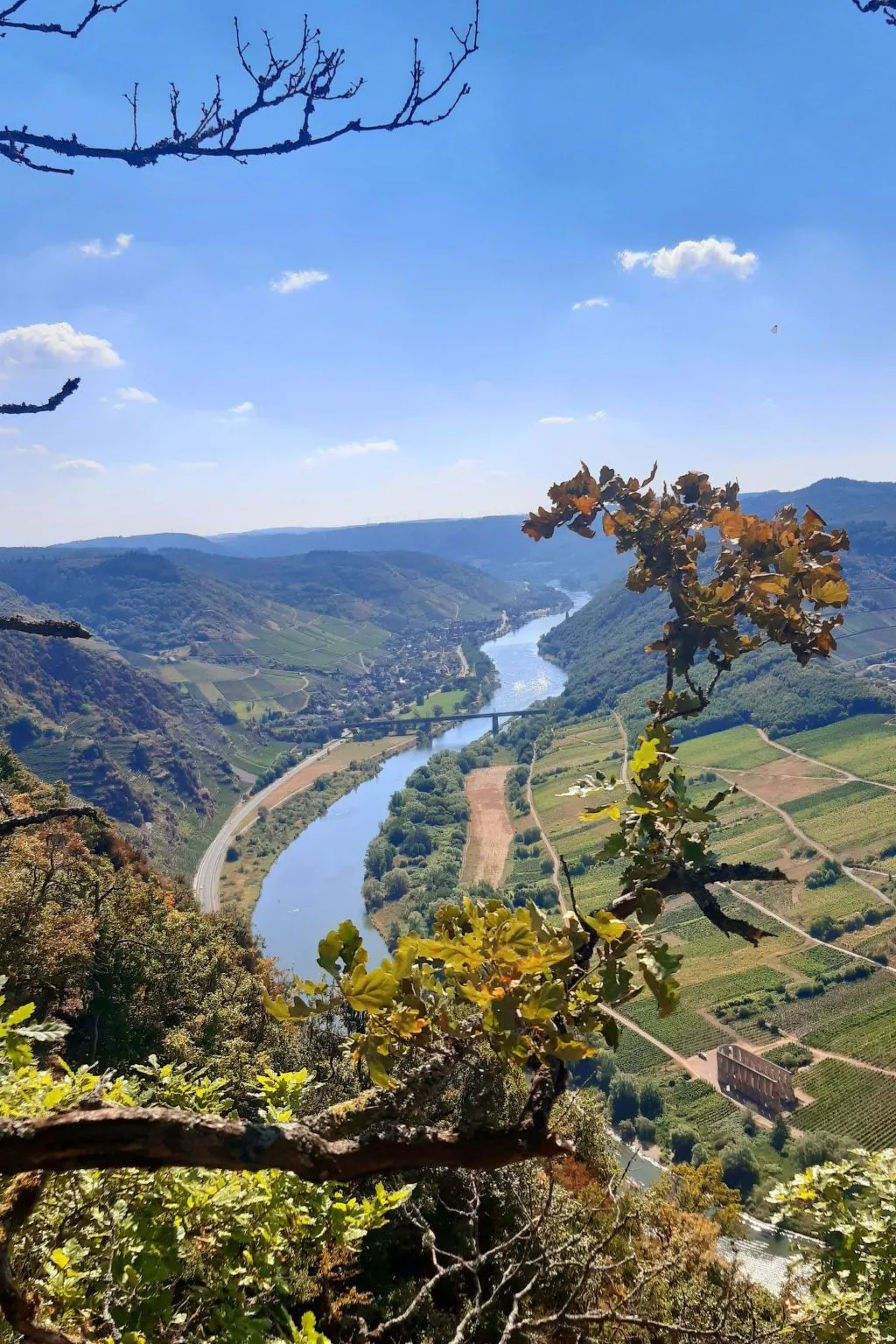 Landhaus Erika-Buiten