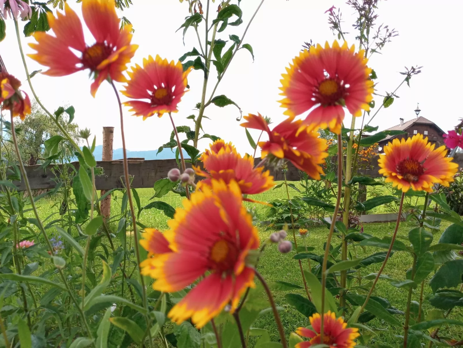 Herbst in Abtenau-Buiten