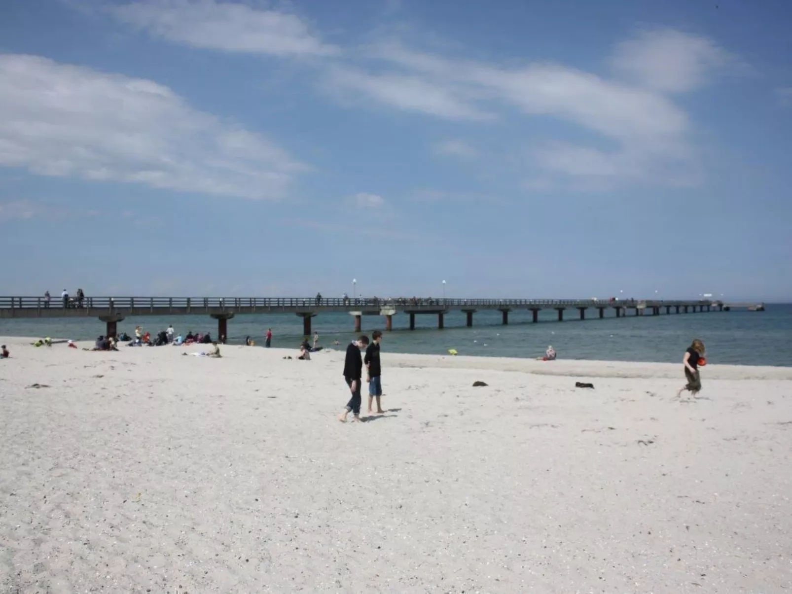 Zum Schilfrohr-Image-tags.info