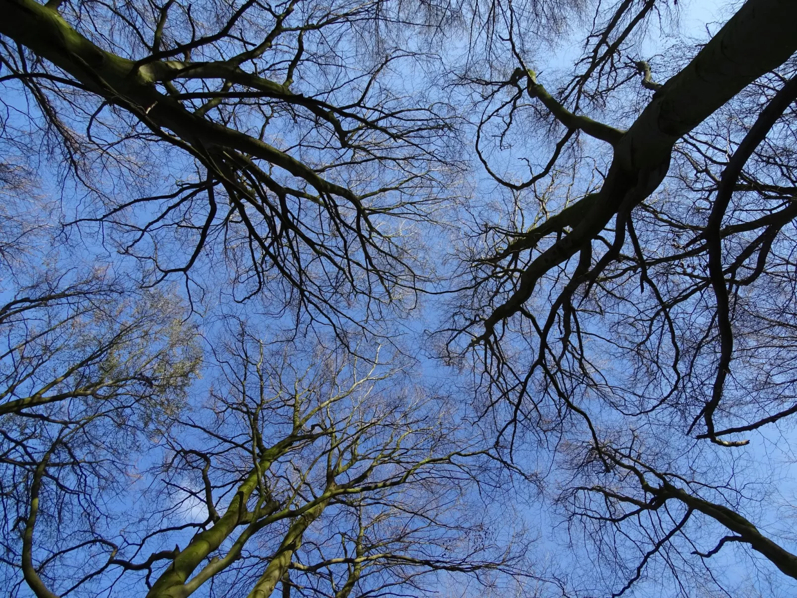 Ferienwohnung-Buiten