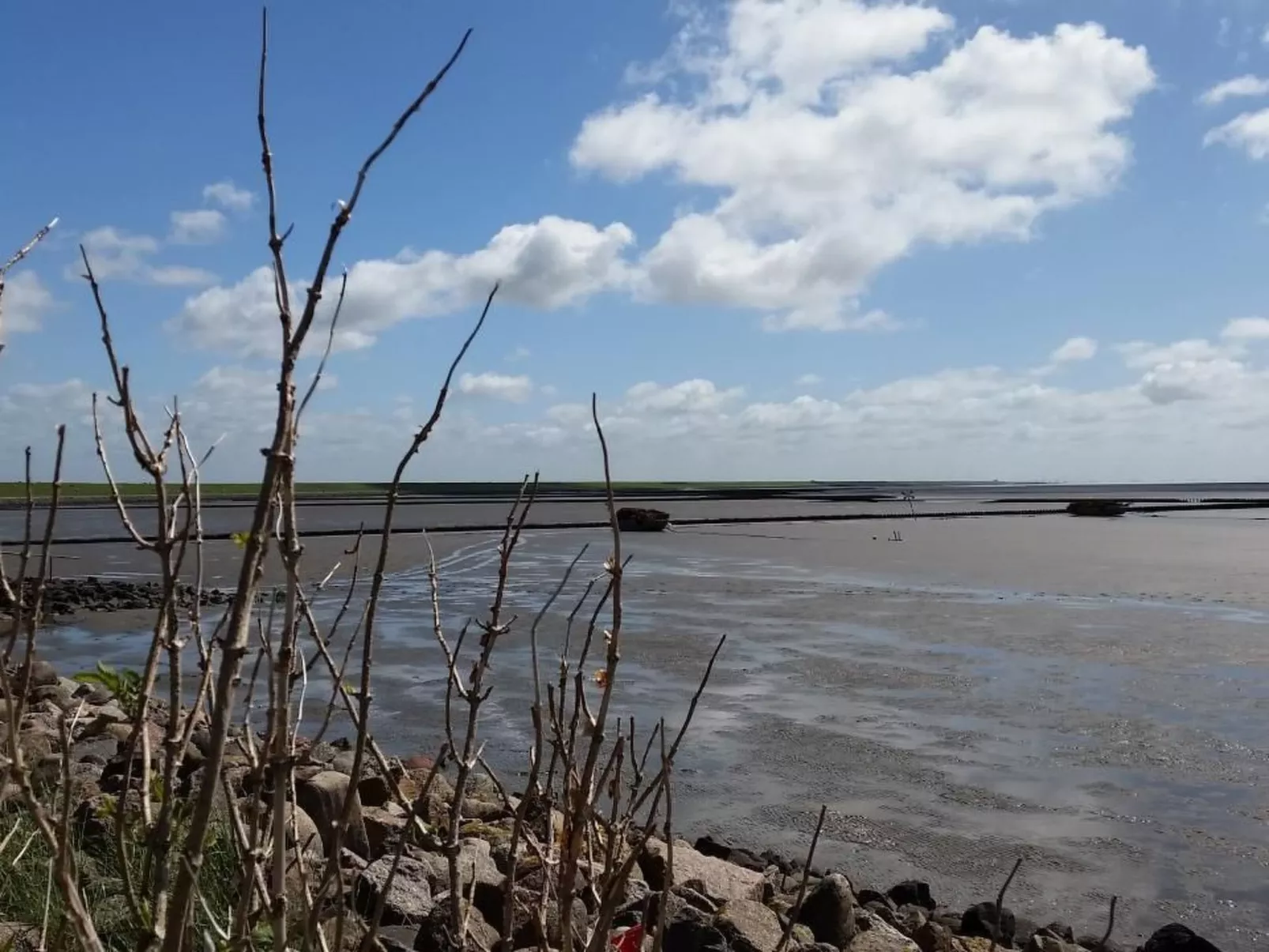 Ilka-Image-tags.info