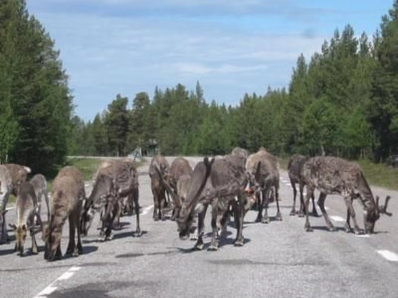Haus-Lappland-Buiten