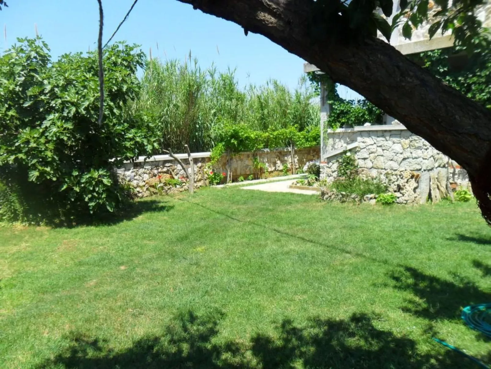 Wohnung Delfin mit Meerblick - TA Leut Agency - Image-tags.info