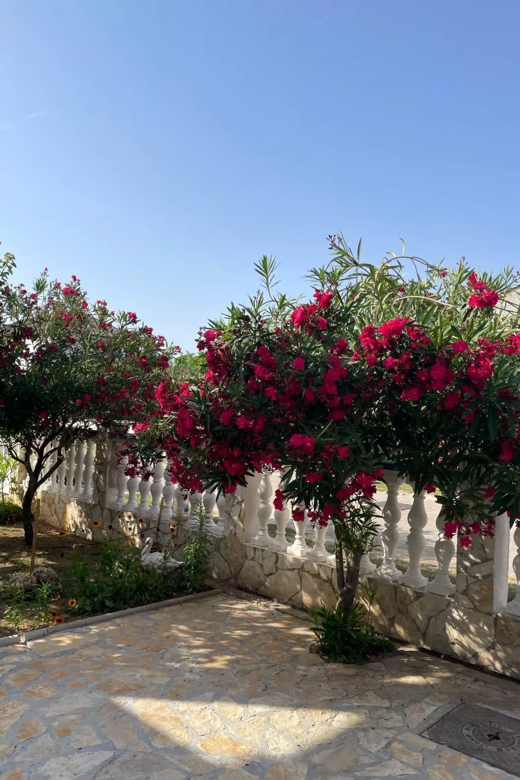 Wohnungen Nada in Sabunike - von TA Leut Agency-Image-tags.info