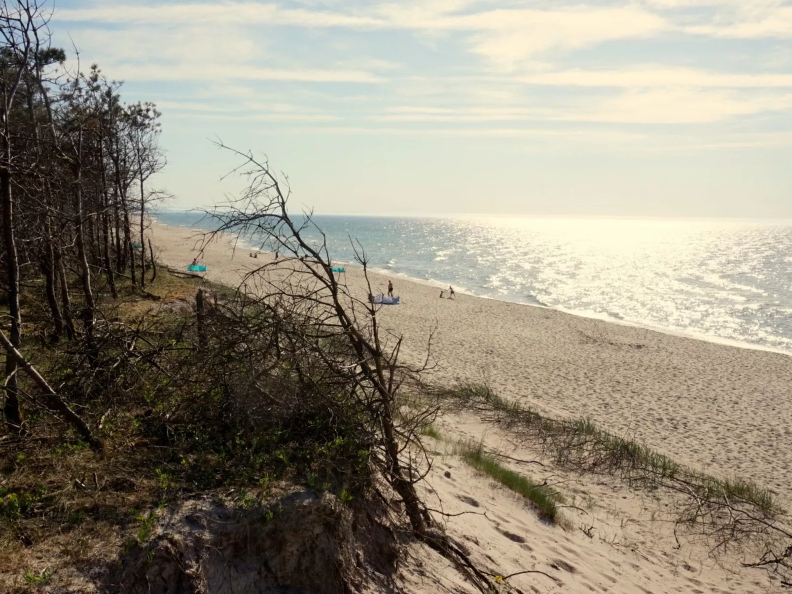 "Paradise Star Bobolin"-Buiten