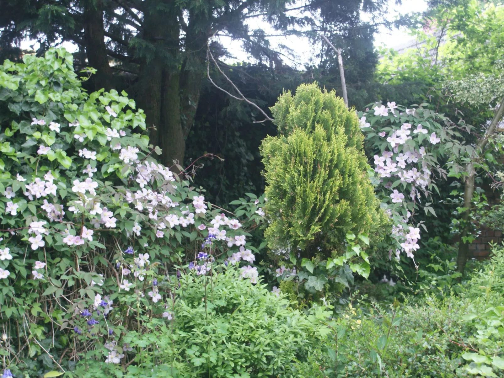 Meeresdorf Stille - Ferienhäuser in den Gärten von Magra-Buiten