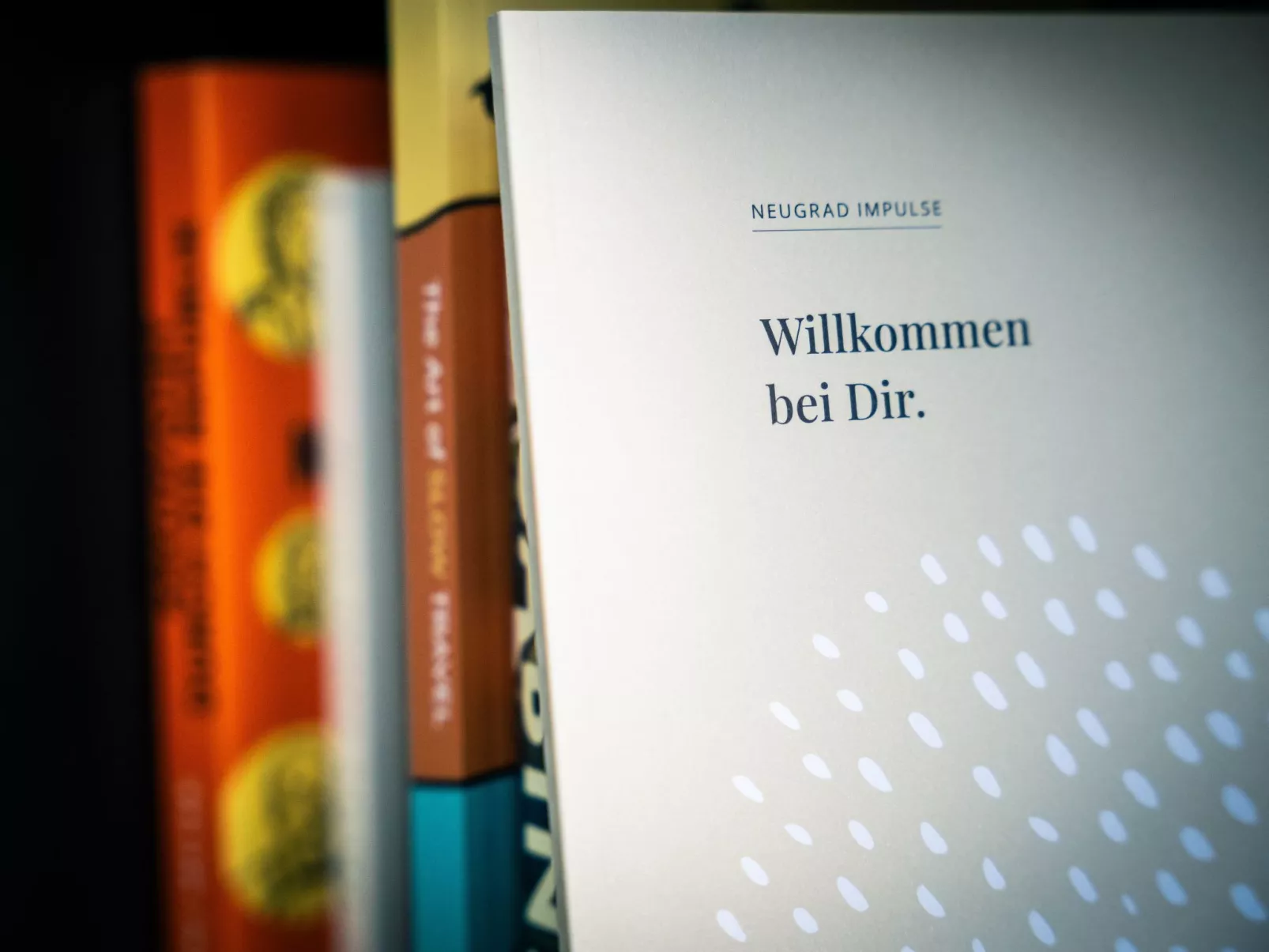 (4)Cabin Style Sauna-Buiten