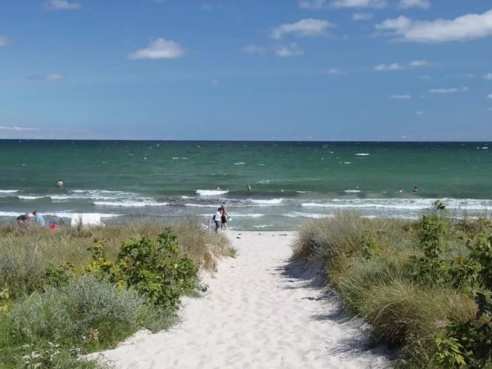 Munky-Image-tags.info