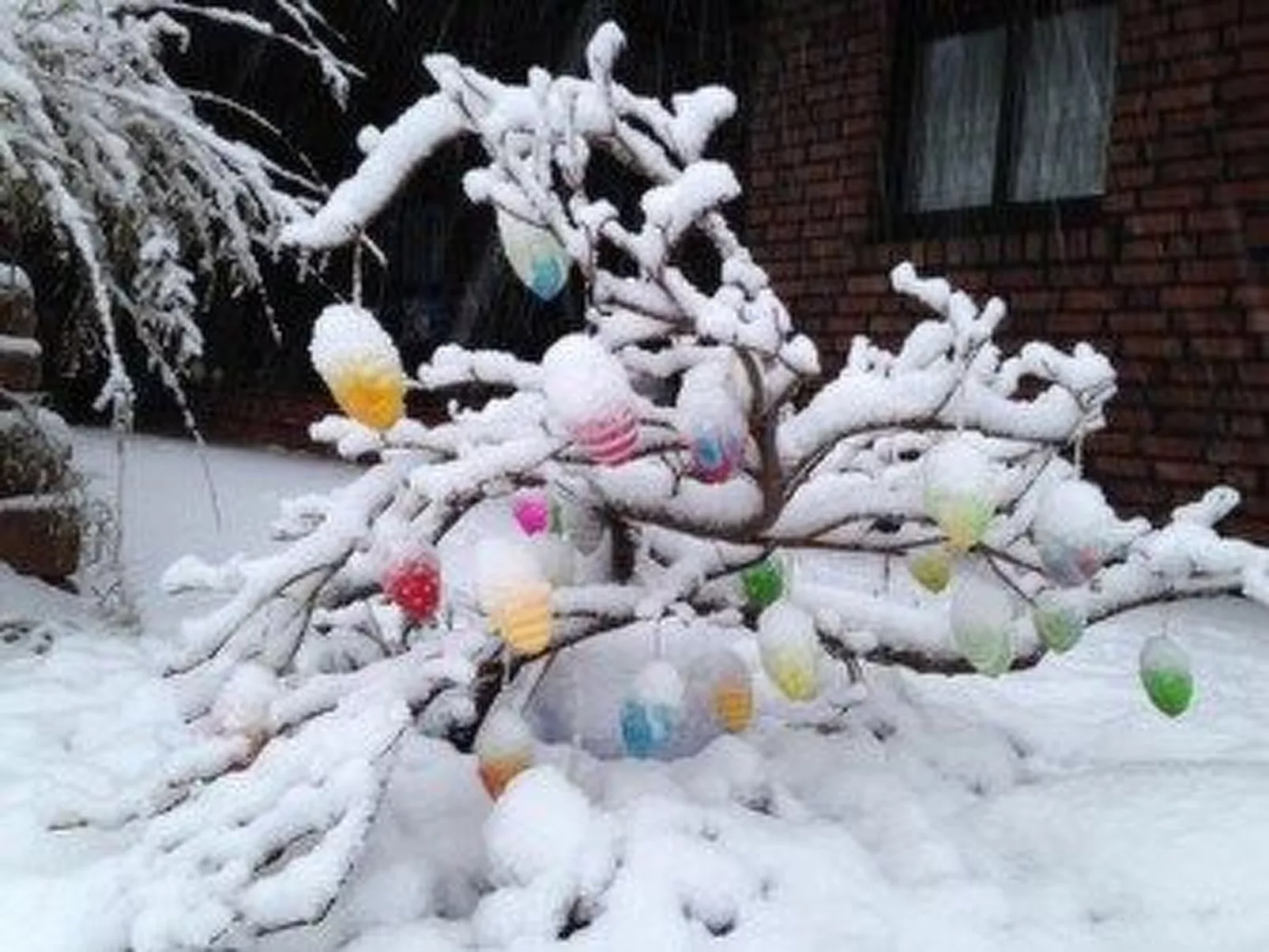 Mit Balkon in Sellin-Buiten