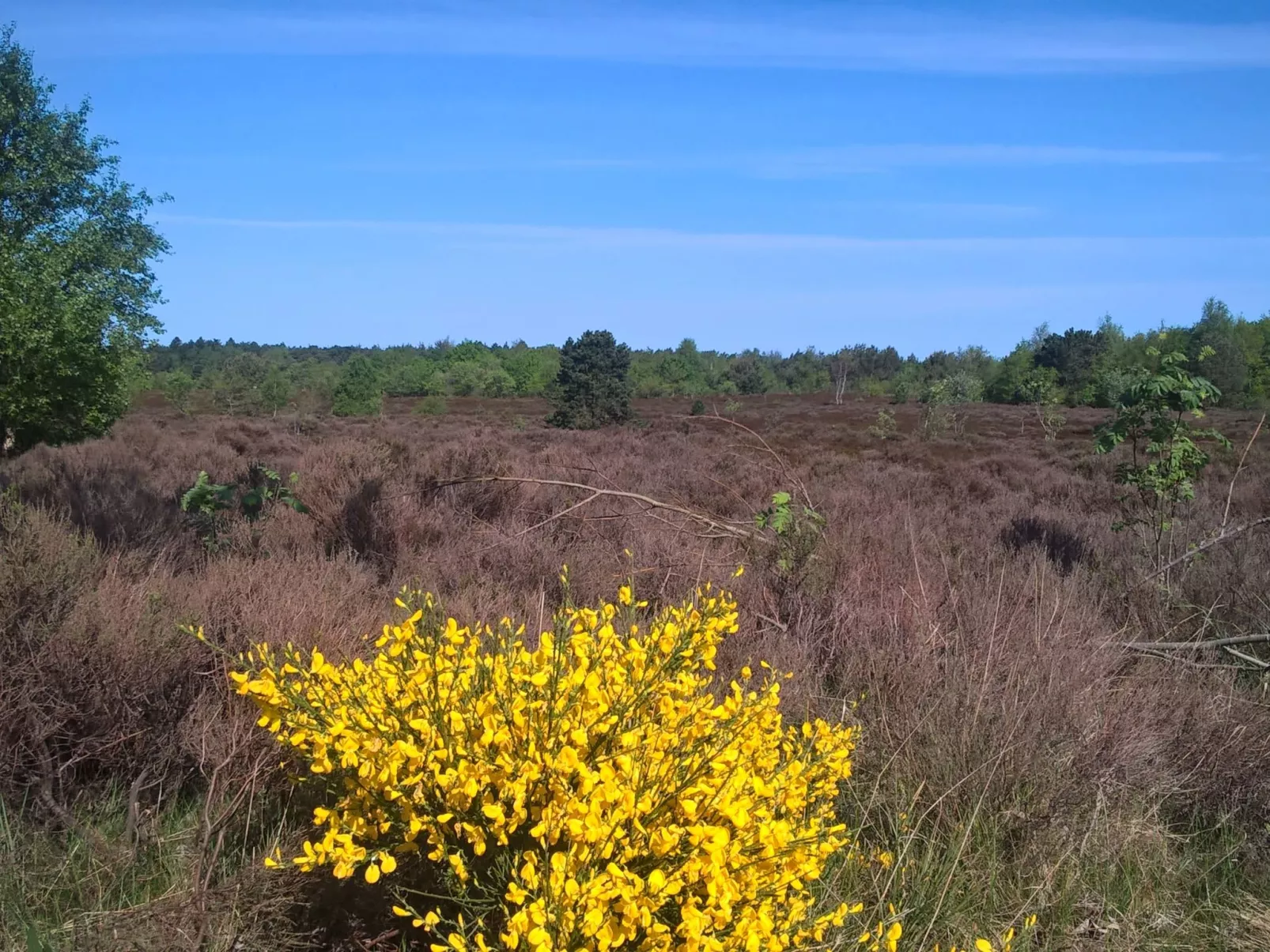 Gemütliche Ferienwohnung für zwei Personen mit sonniger Südterrasse-Buiten