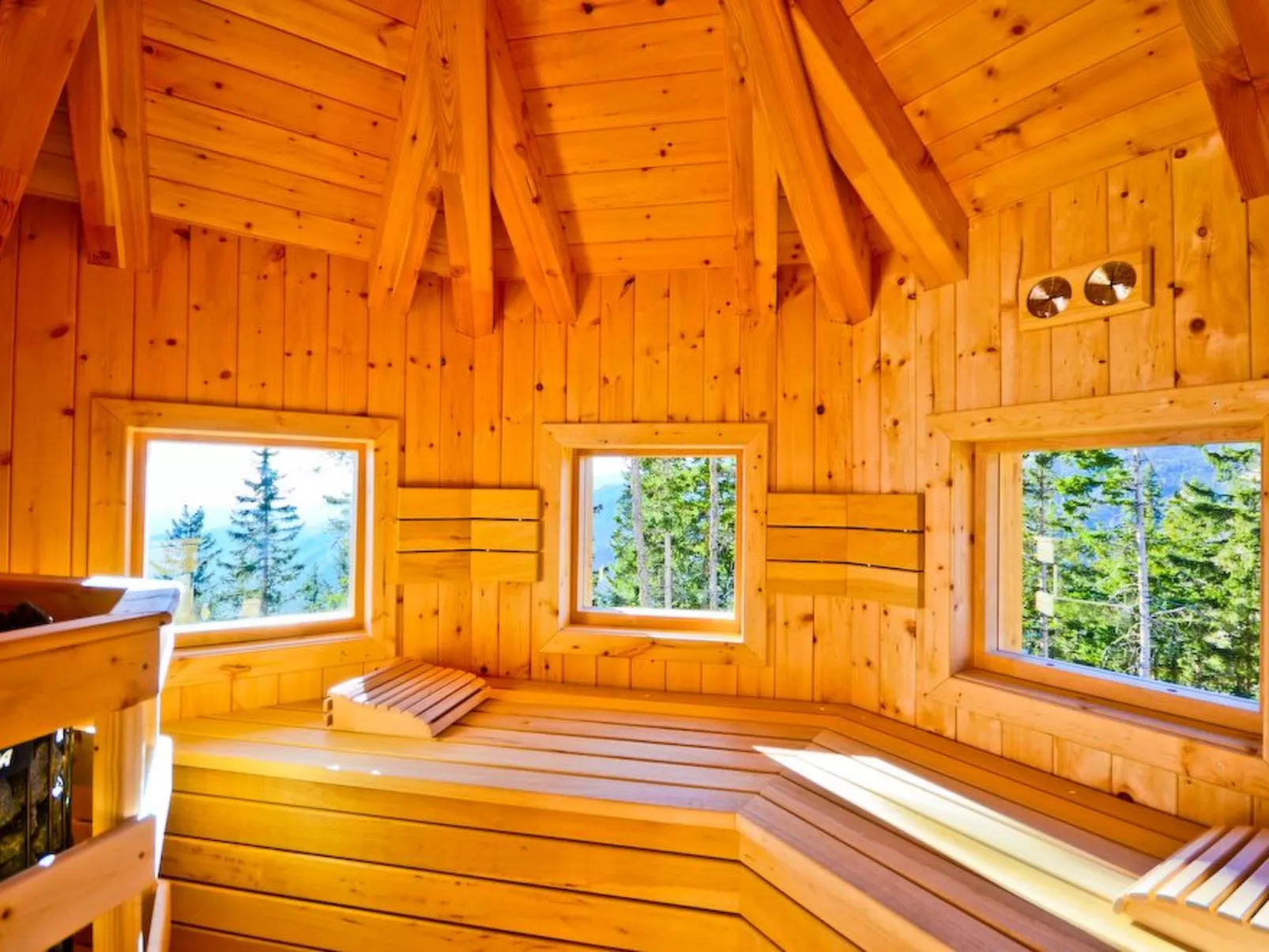 Das Almhaus in Bad St. Leonhard im Lavanttal-Buiten