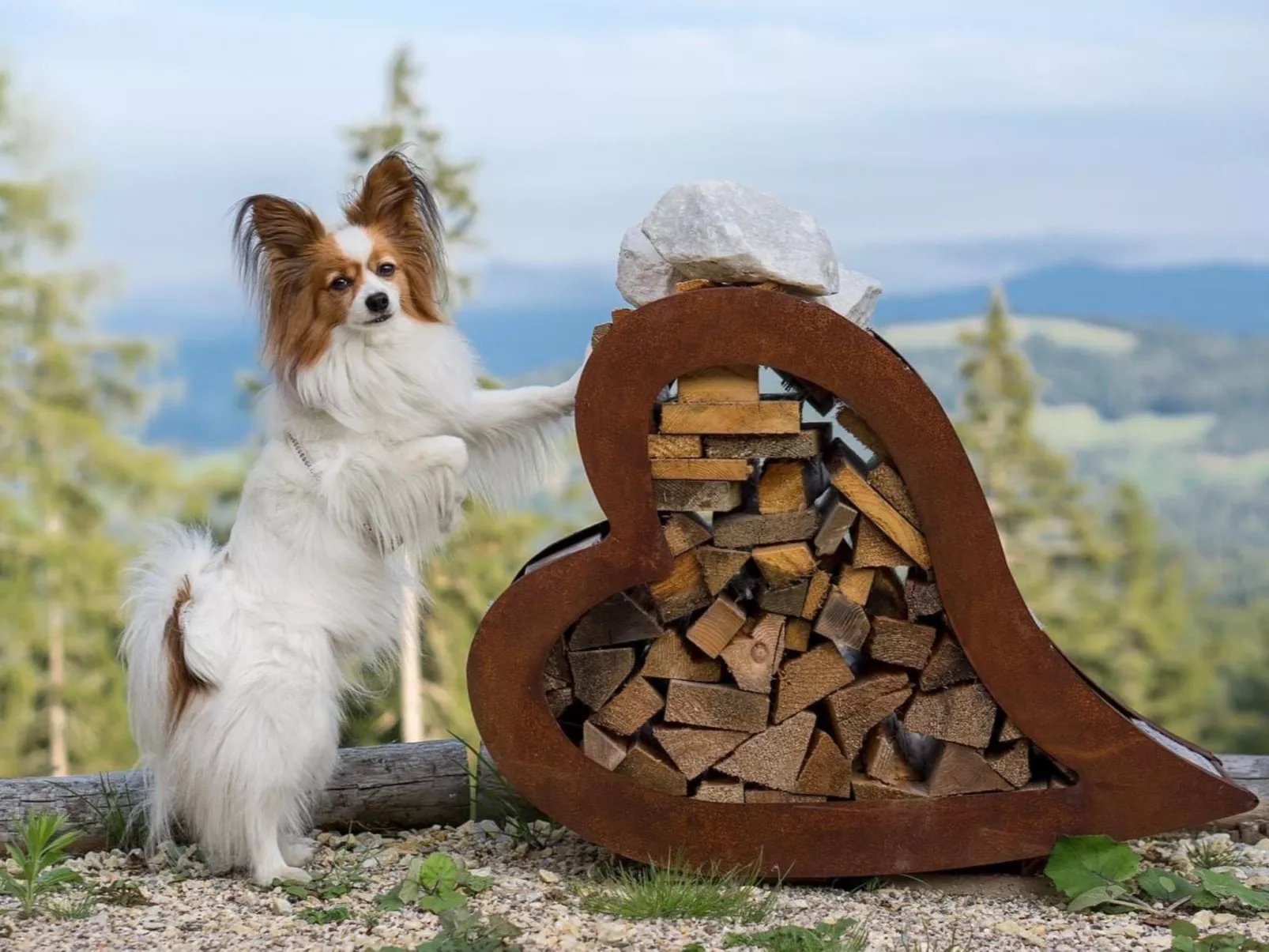 "Die Berghex'n "-Buiten