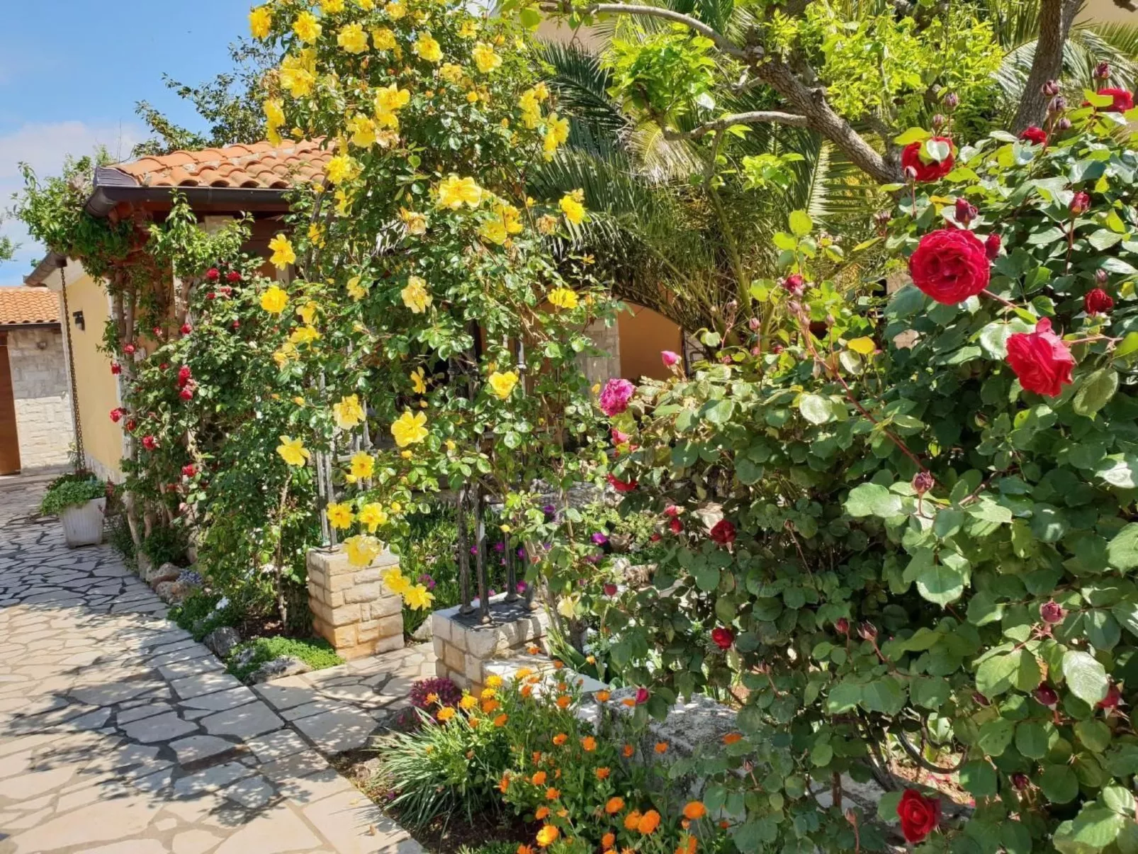 Luxus-App Marin - Terrasse, Garten, Grillplatz, Strandnähe-Buiten