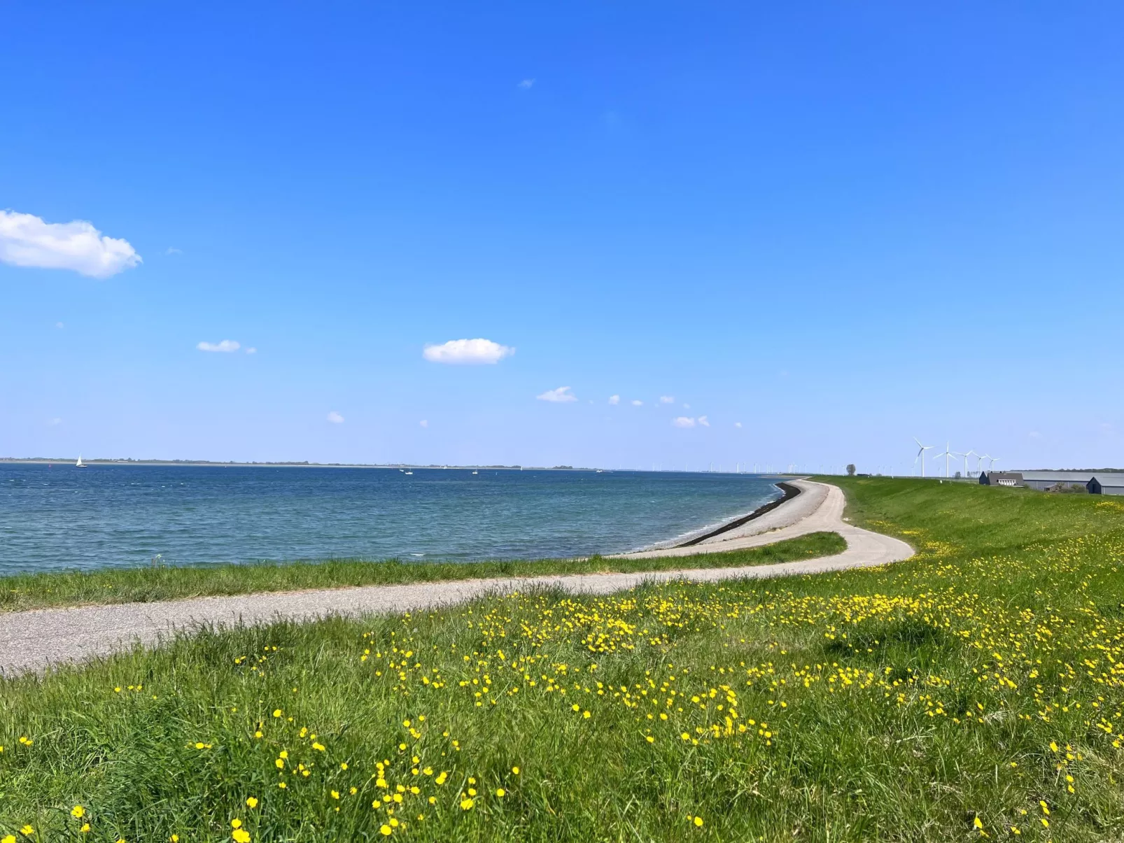 In Stavenisse mit gemütlicher Terrasse-Buiten