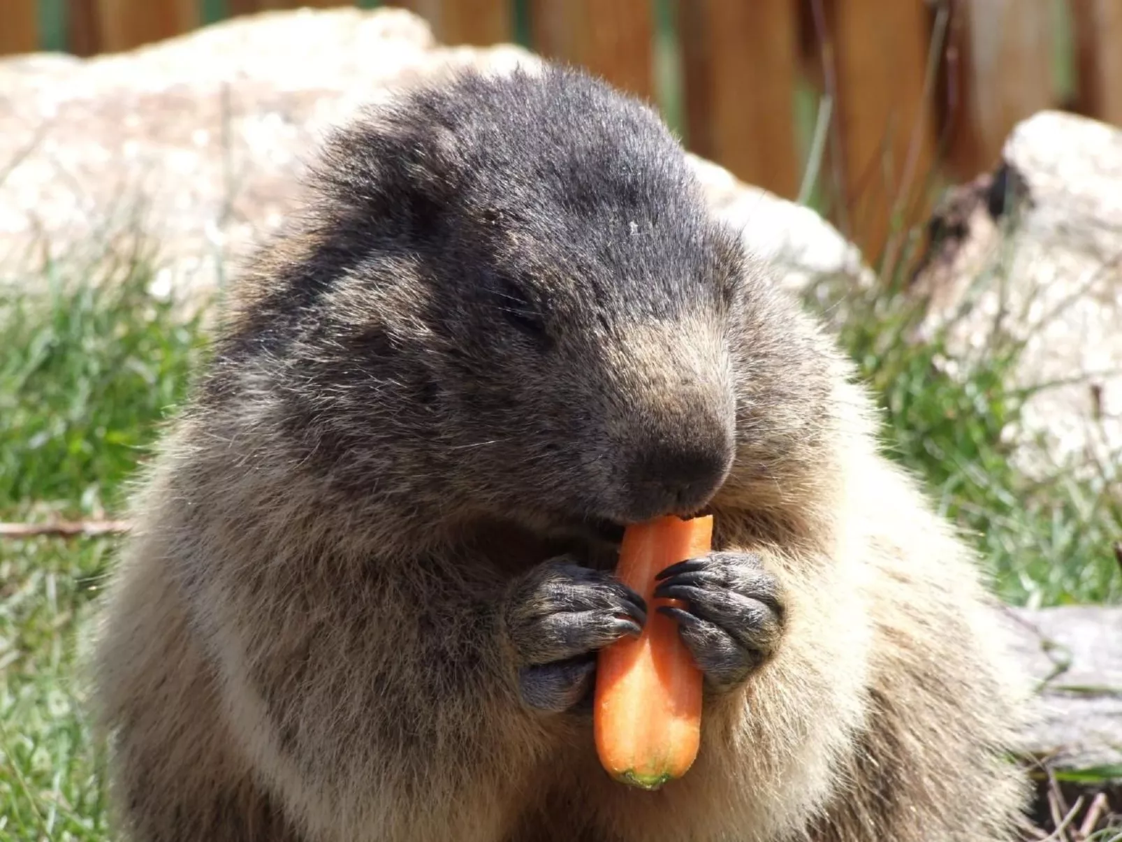 Haus Mondelli-Image-tags.info