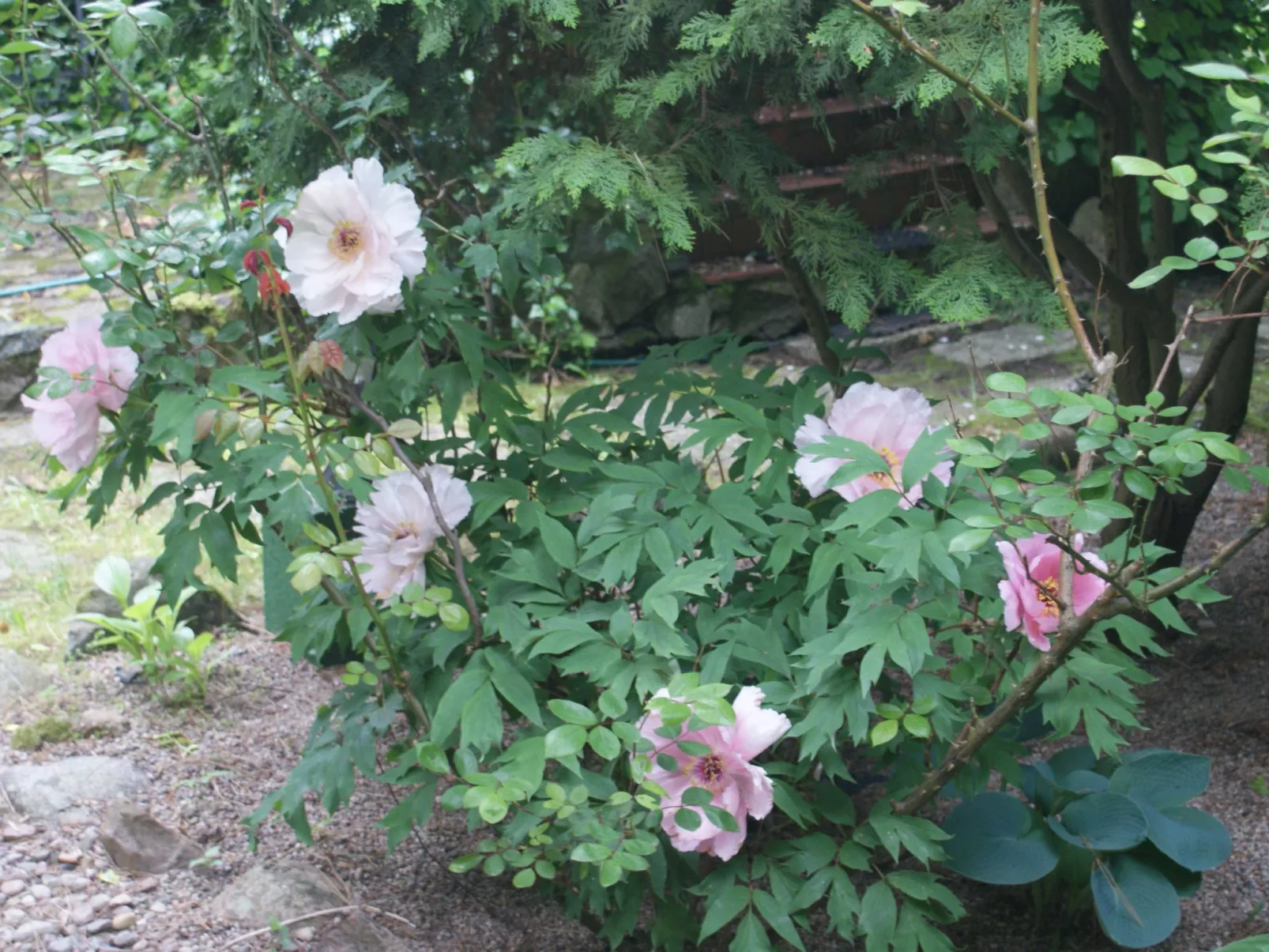 Meer, Landschaft, Stille - Ferienhäuser in den Gärten von Magra-Image-tags.info