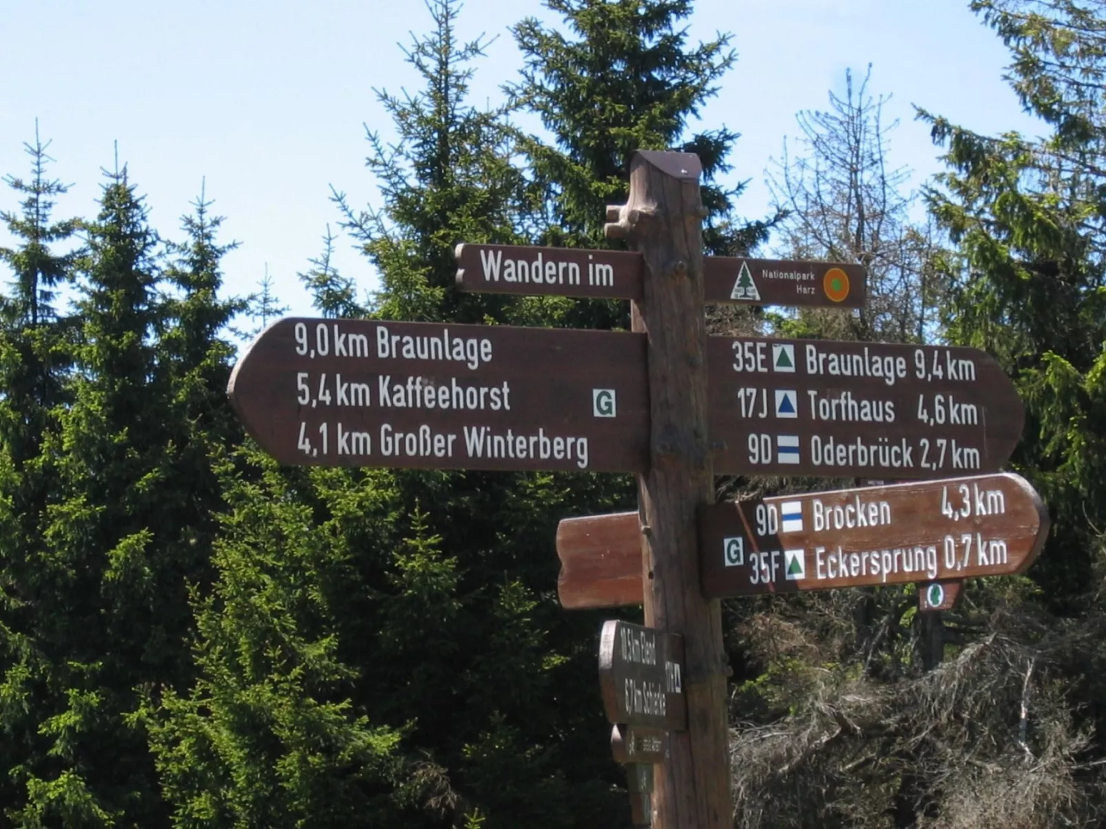 Wohnung in Bad Harzburg mit Garten-Buiten