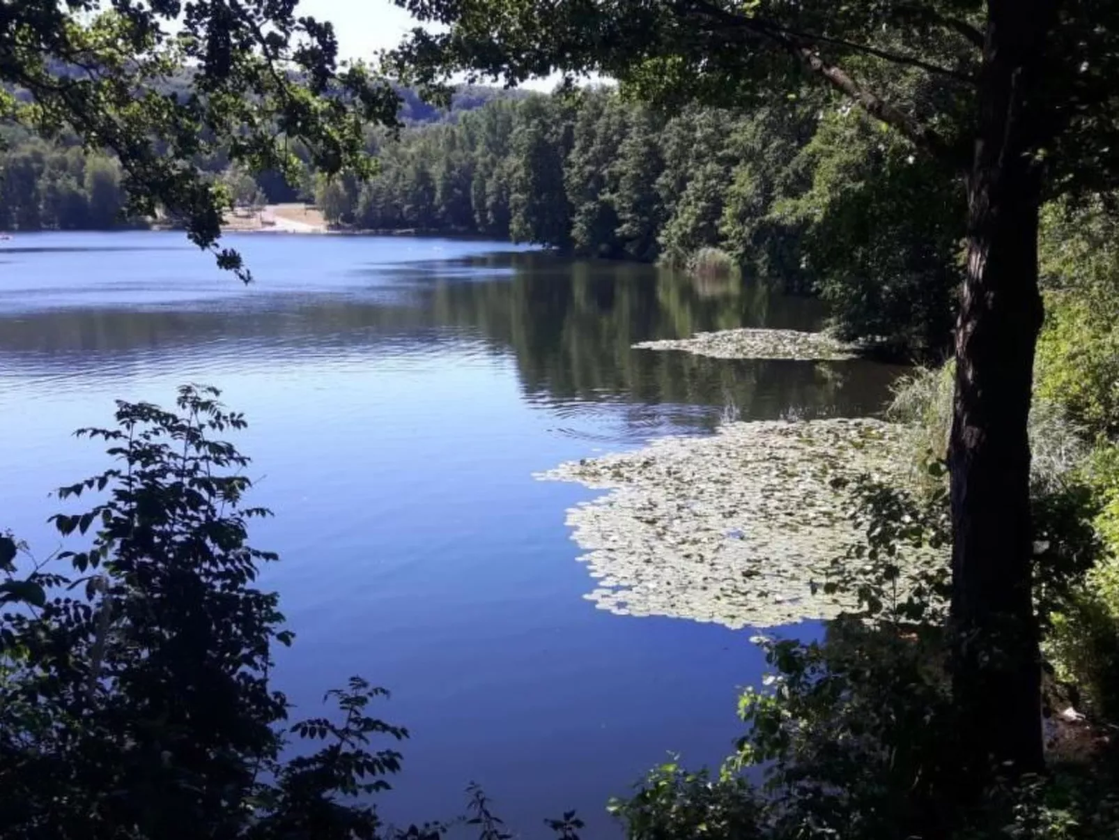 Haus Wellness - Image-tags.info