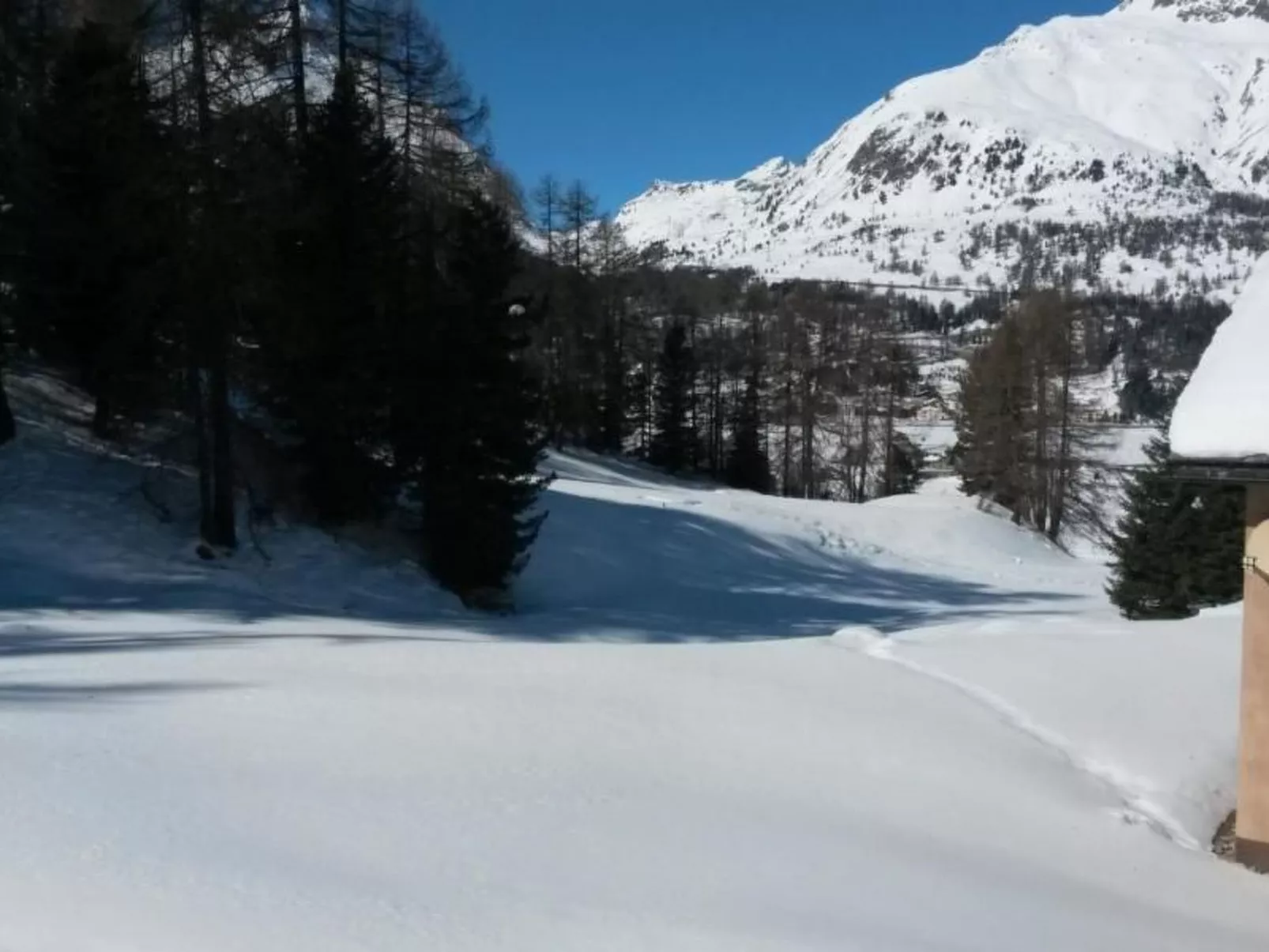 Chesa Sella C5, Triaca-Image-tags.info