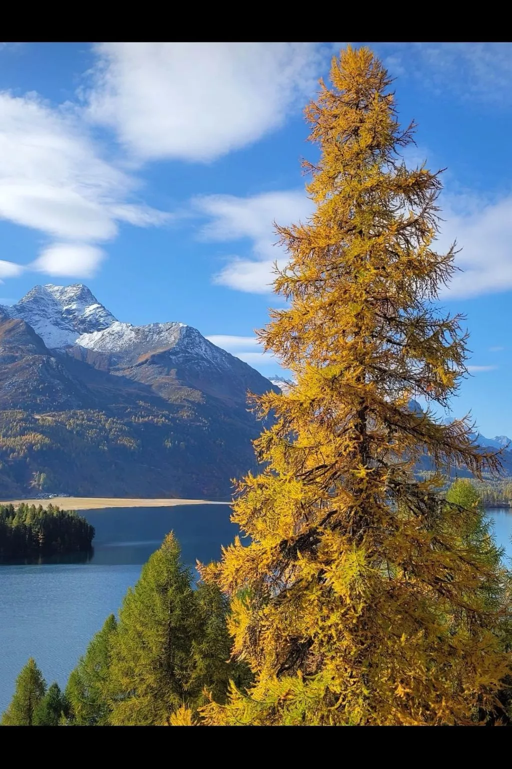 2,5 Bettwohnung-Buiten