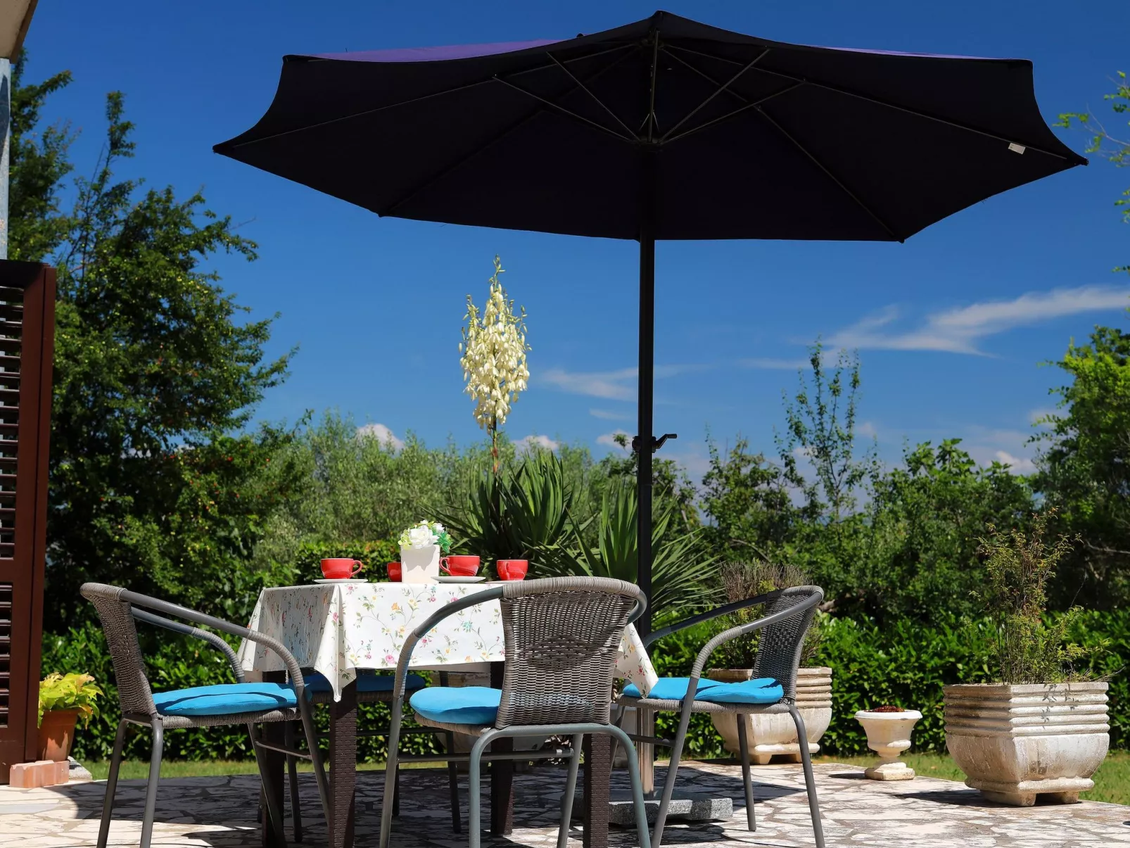 Svoboda 2-Image-tags.info