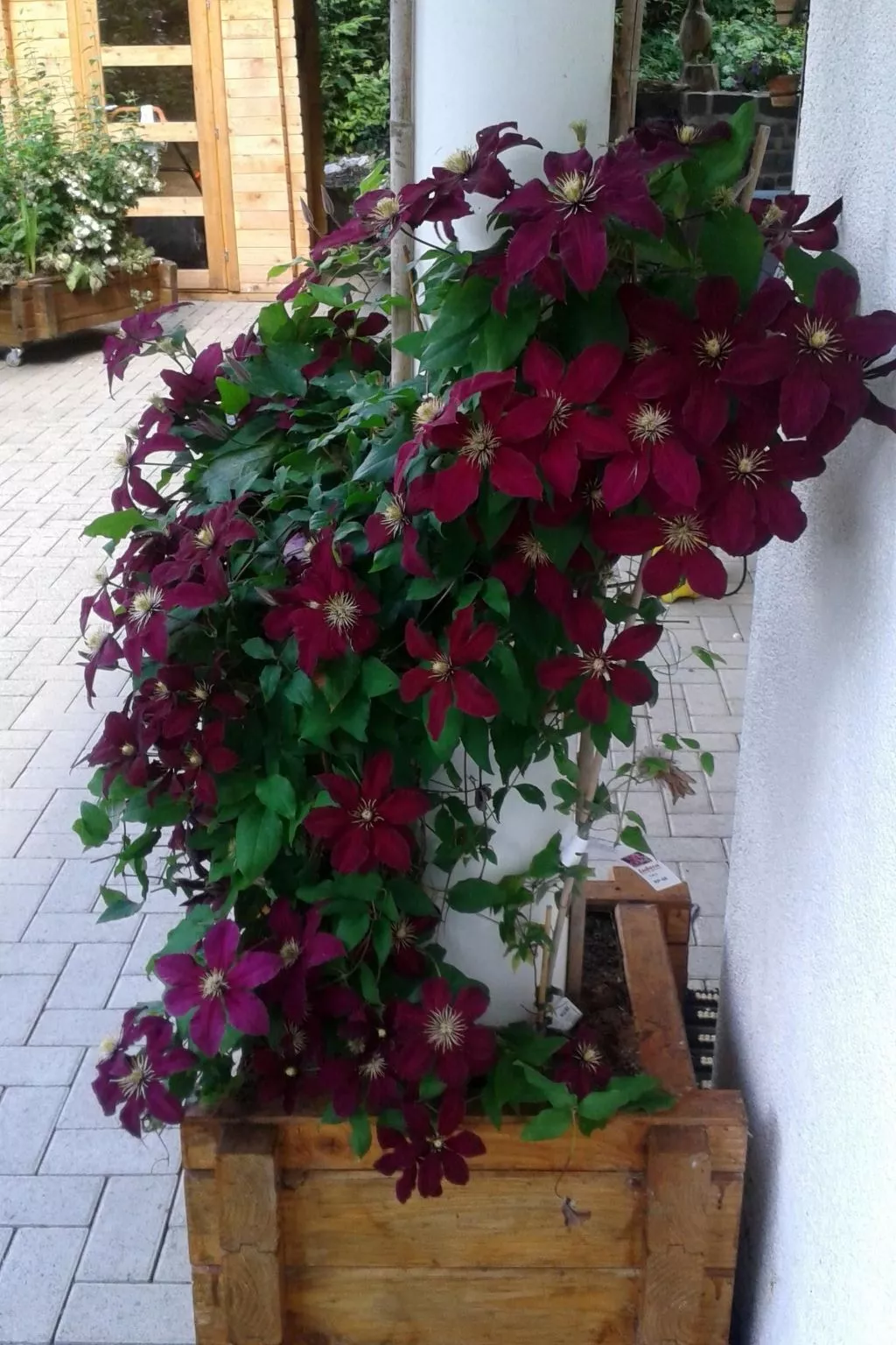 Harz-Haus-Bruns-Buiten