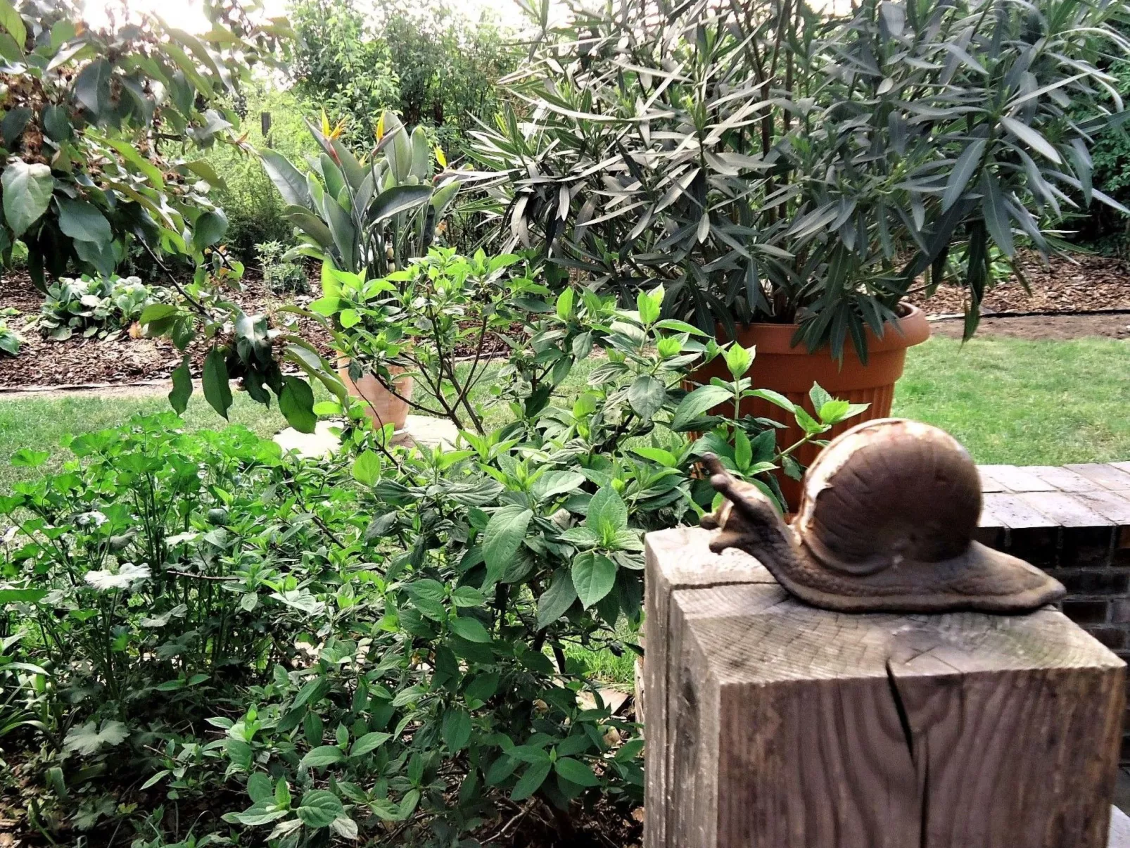 In ruhiger Lage am Waldrand-Buiten